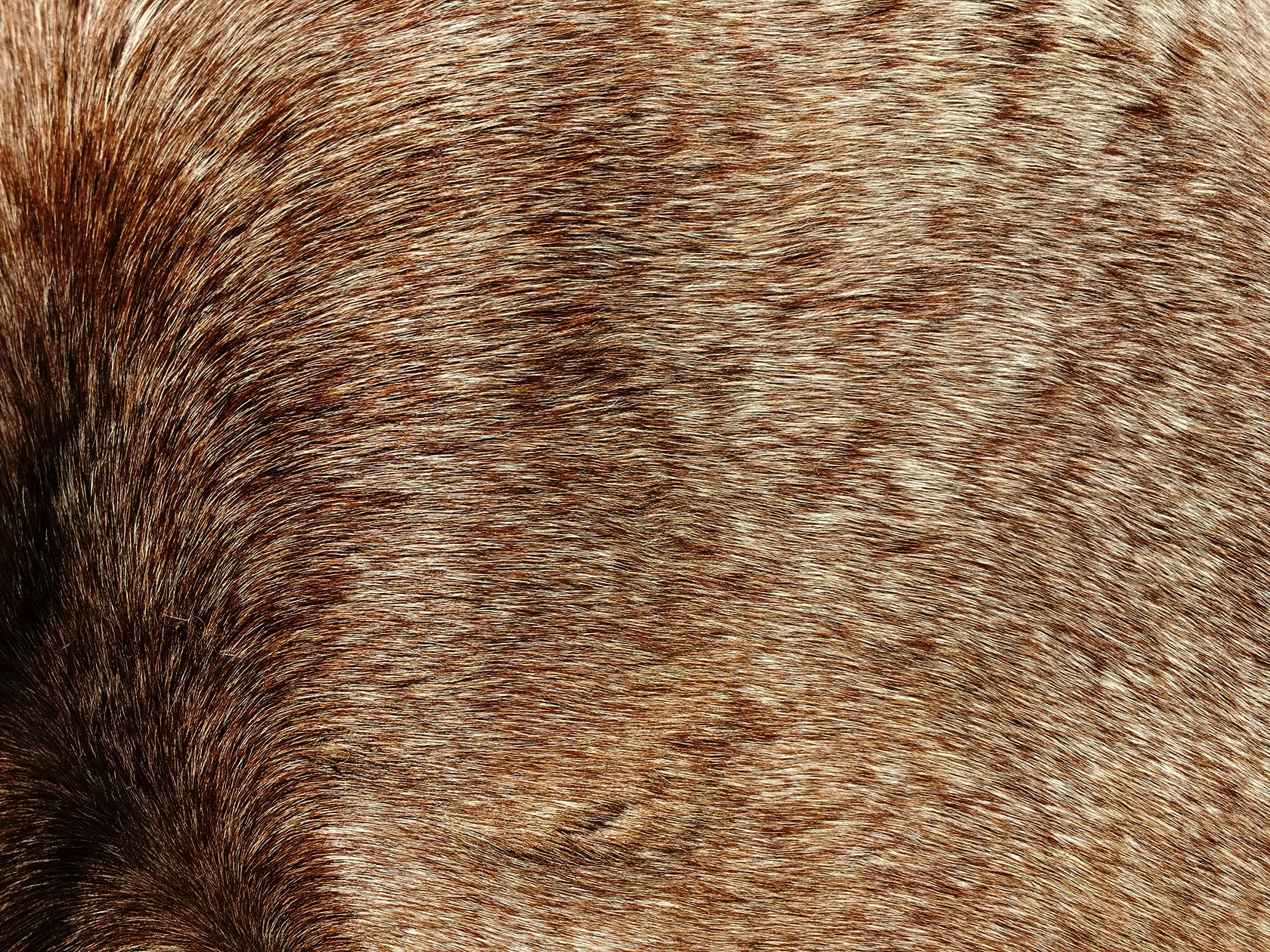 Photo Jan 07, 3 54 08 PM.jpg