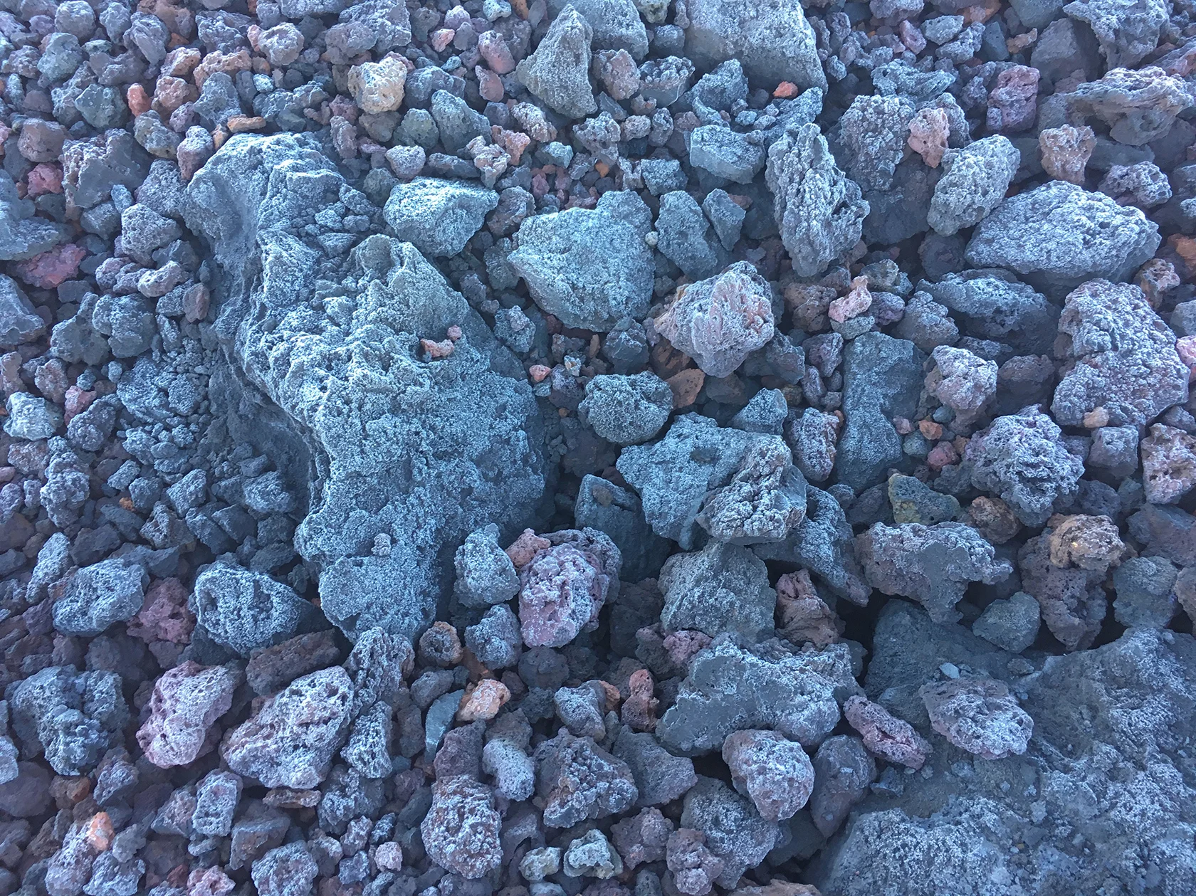 Photo Jan 01, 12 52 21 PM.jpg