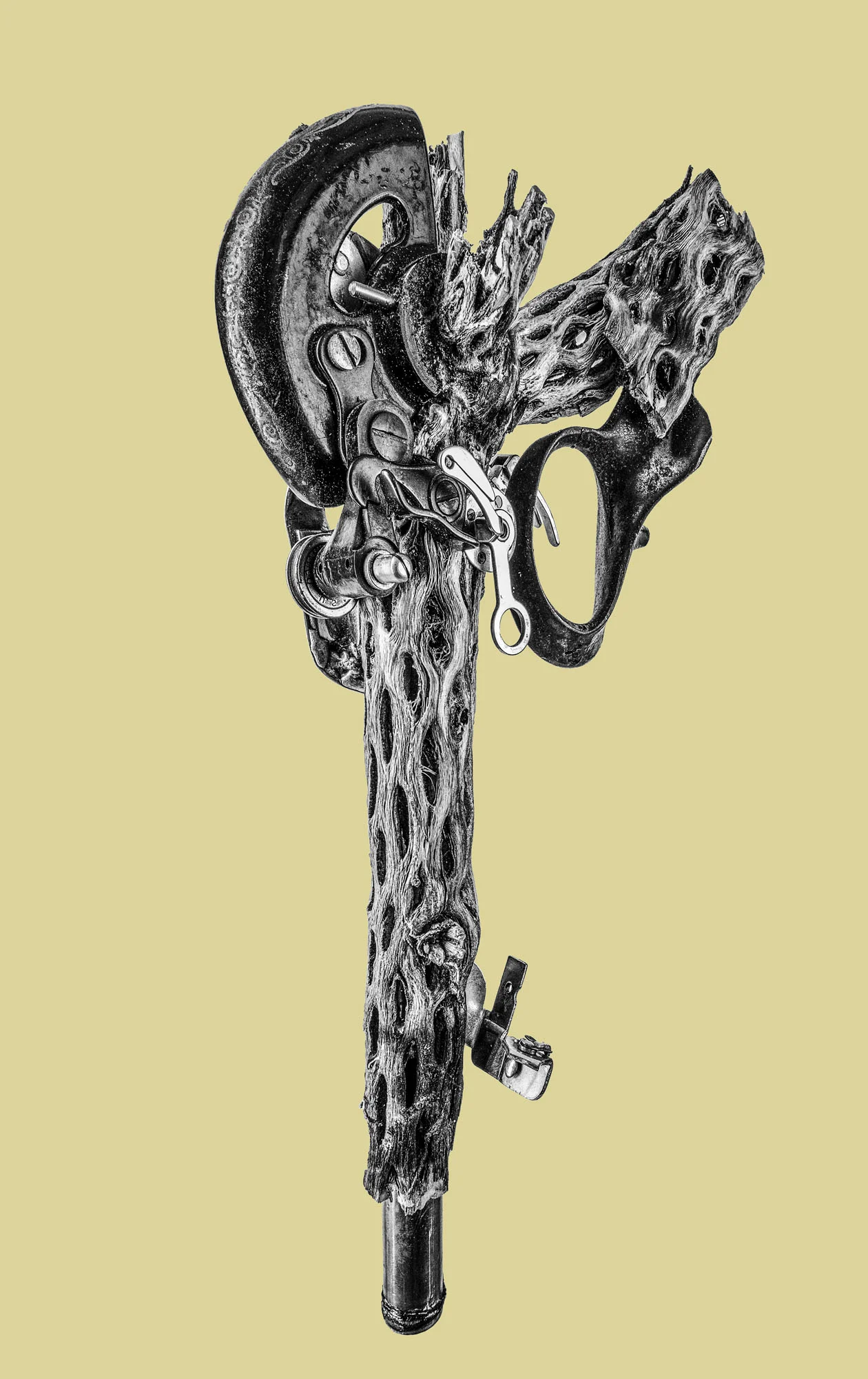 armas_de_la_fortuna_©dantekorda12.jpg