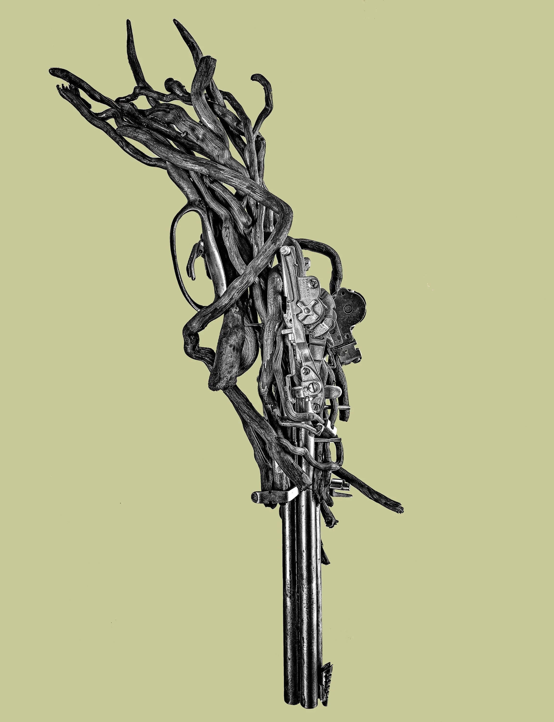 dante_korda_armas_de_la_fortuna_2019_11.jpg