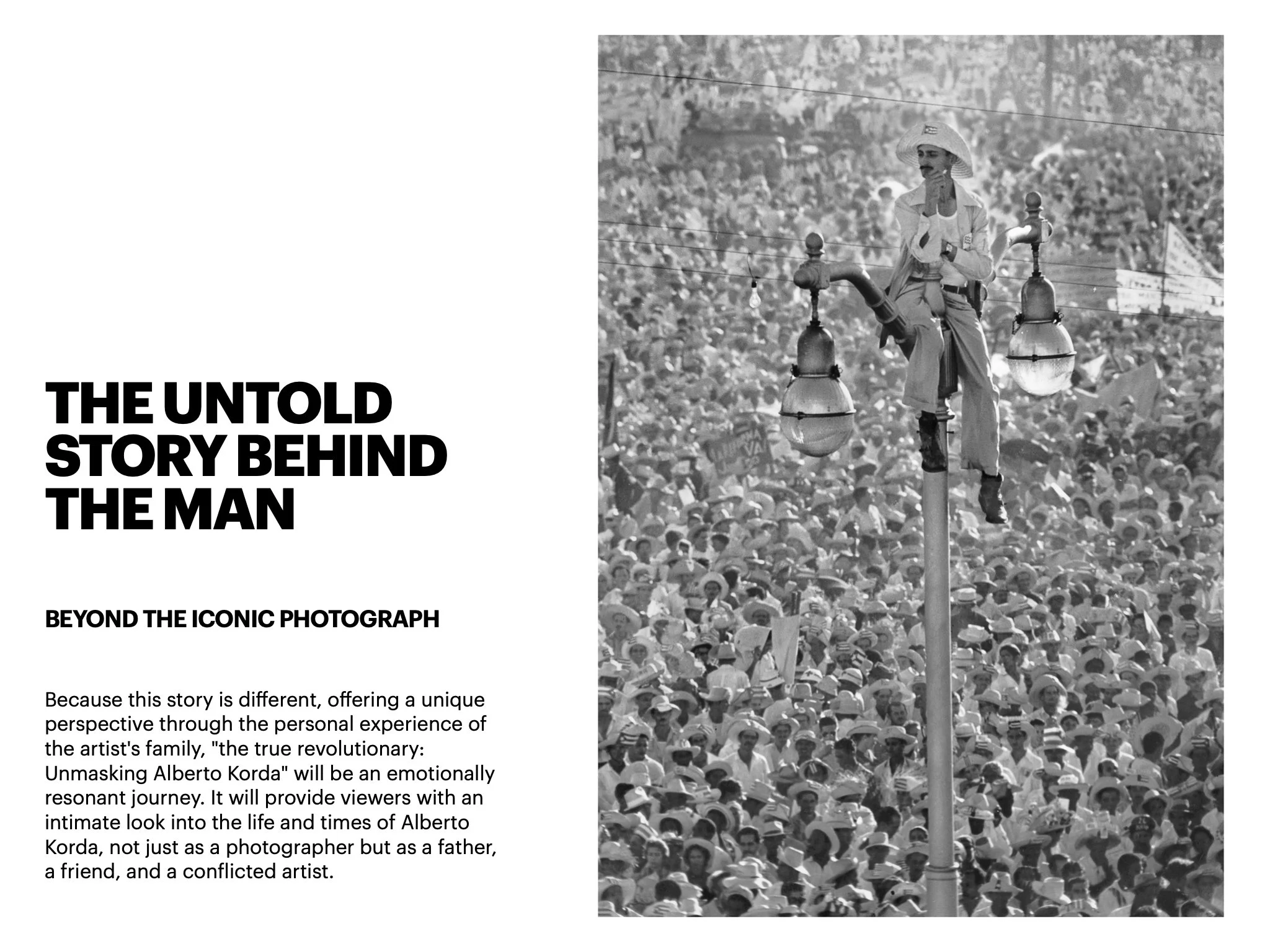 ‎the catalogo.‎2.jpeg