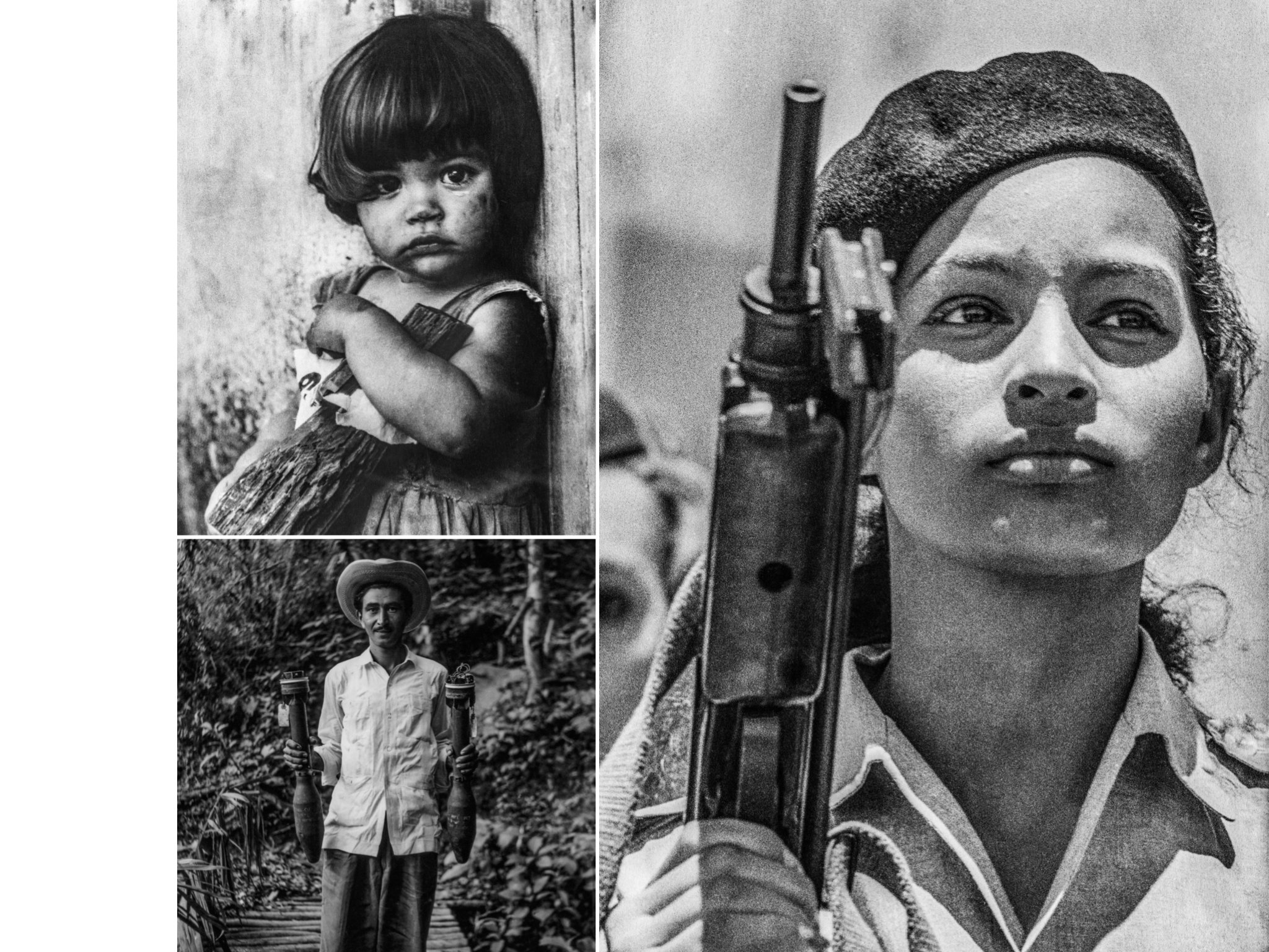 ‎the catalogo.‎6.jpeg