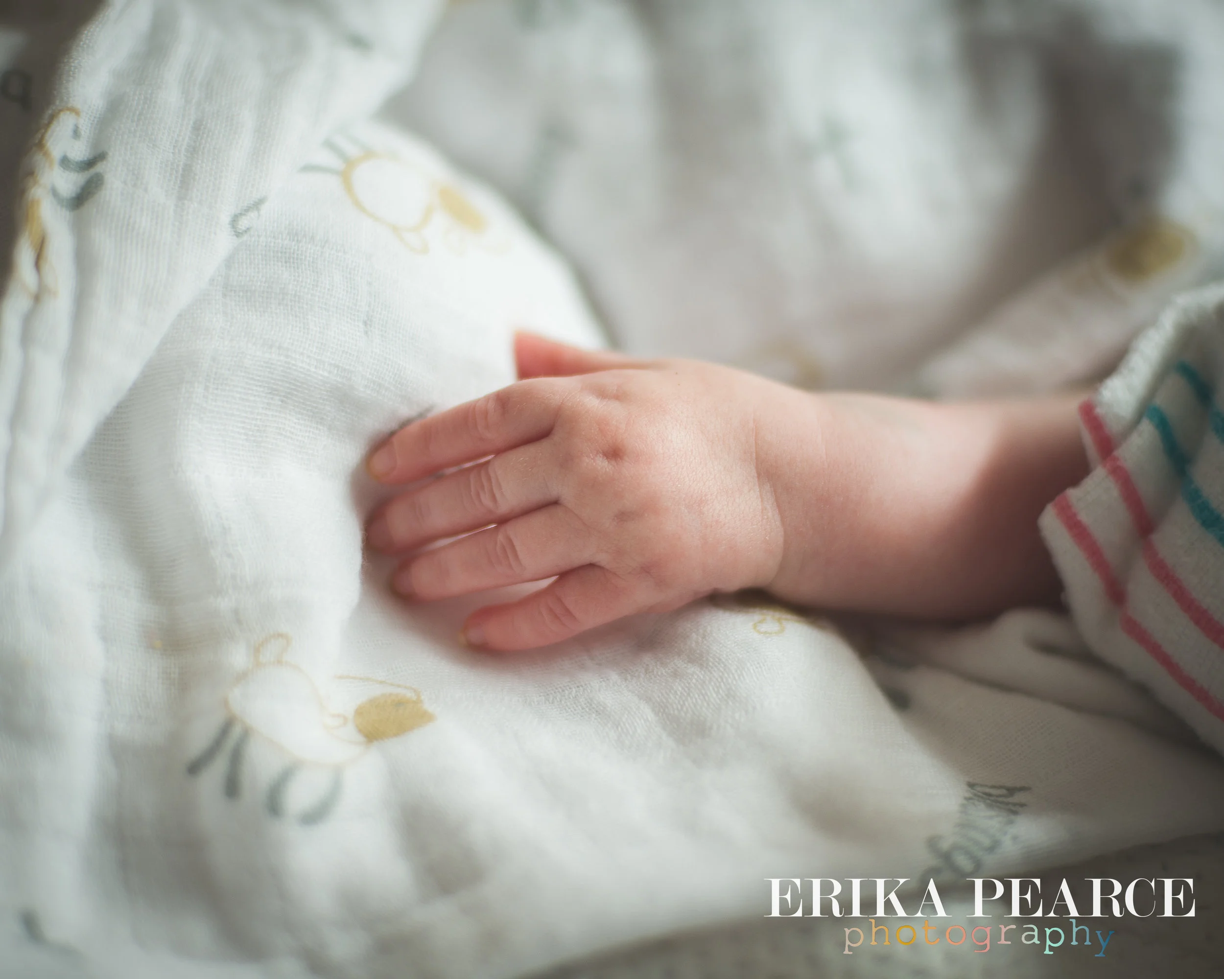 Covington Children photography