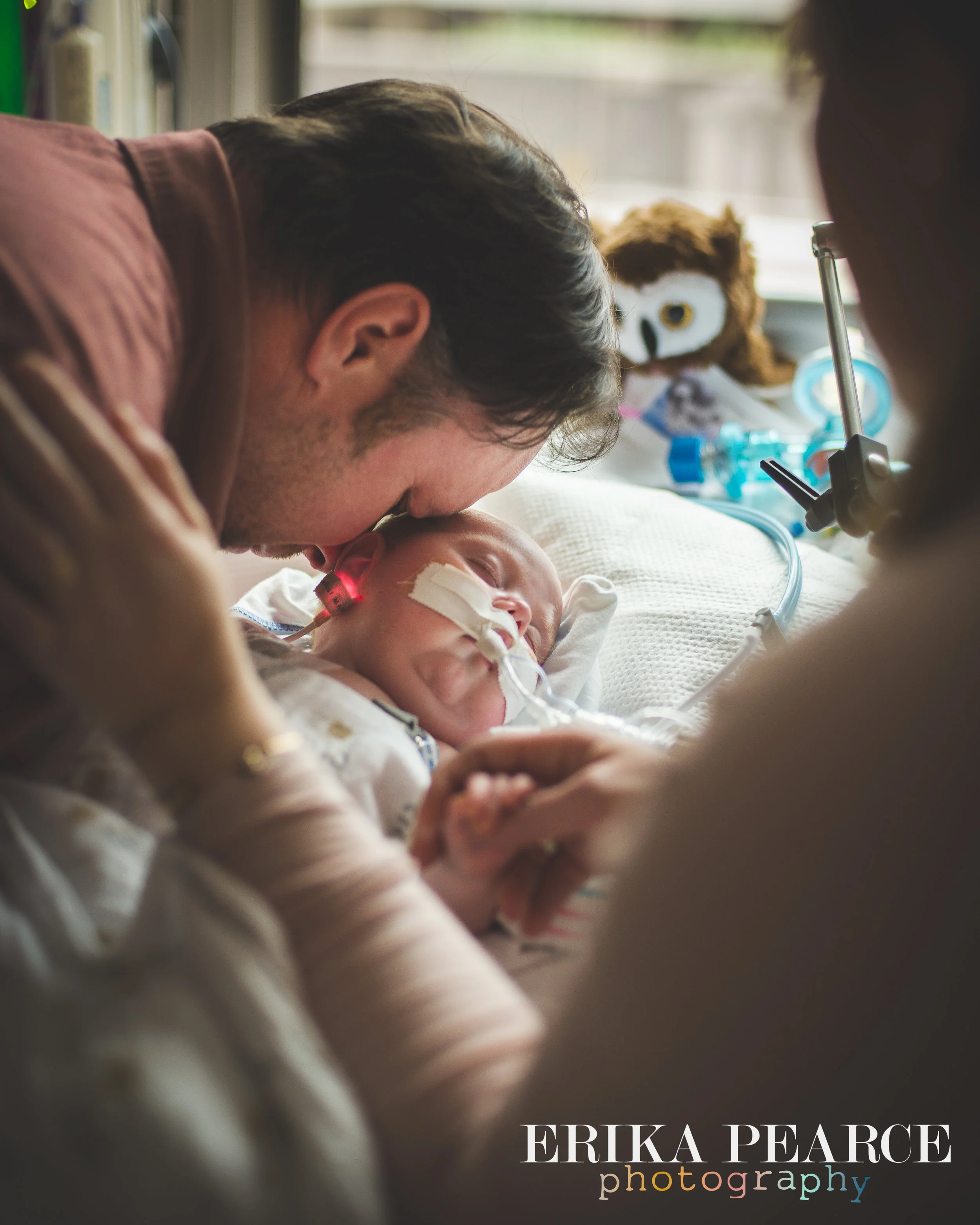 family photographer covington la mandeville la 