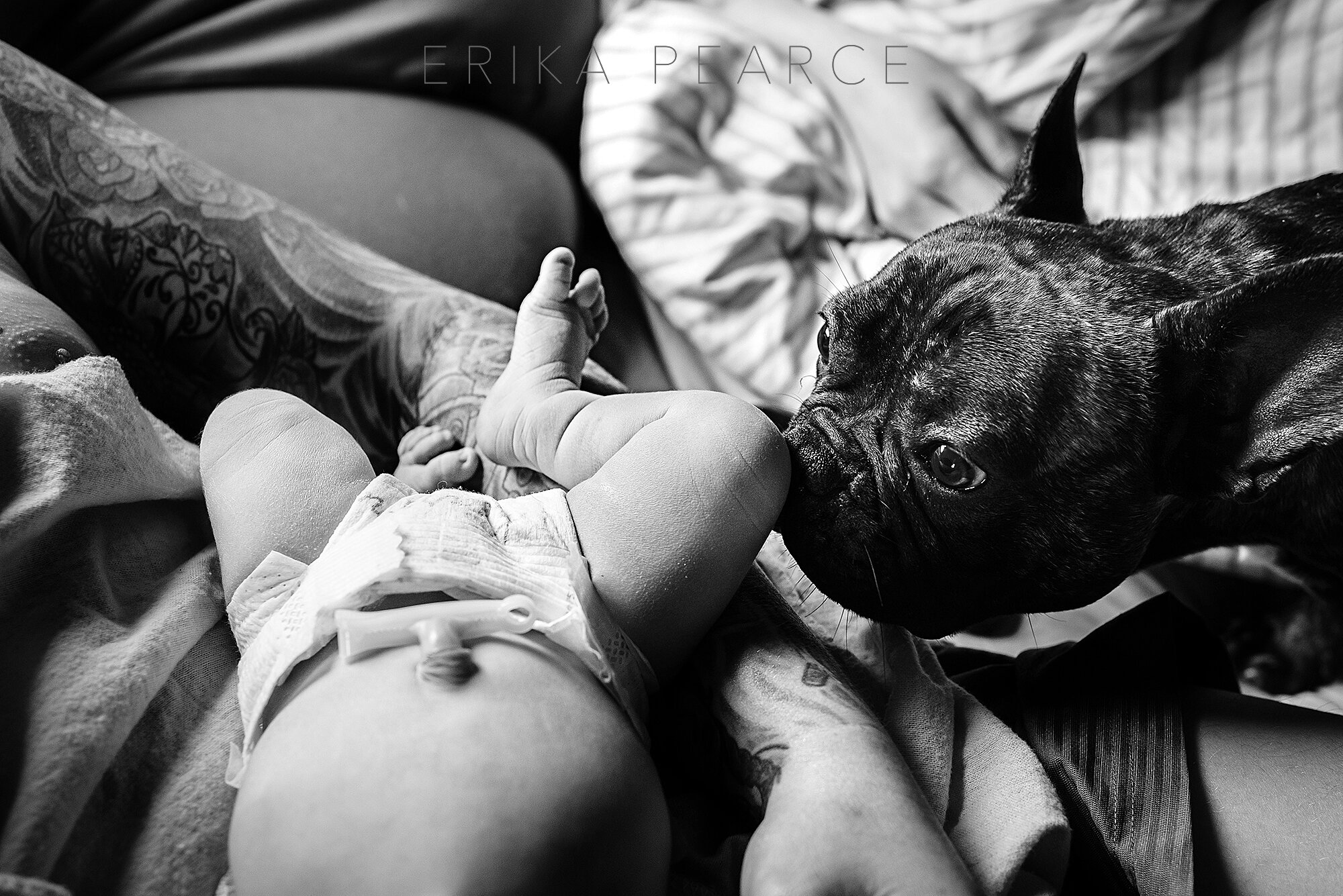 Erika Pearce Photography | Fresh 48 Experience Session | Louisiana | Northshore | Nola | Mandeville | Covington | Newborn Baby