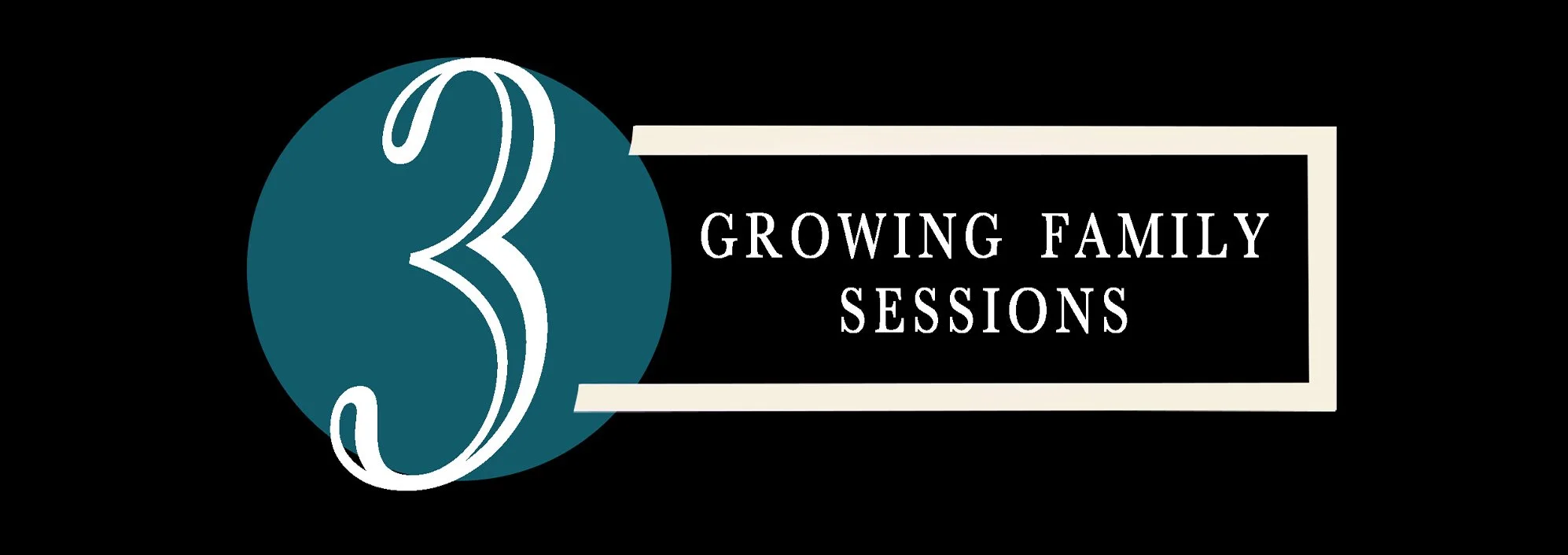 Erika Soileau Photography | Growing Family Sessions | Birth and Fresh 48 Experience