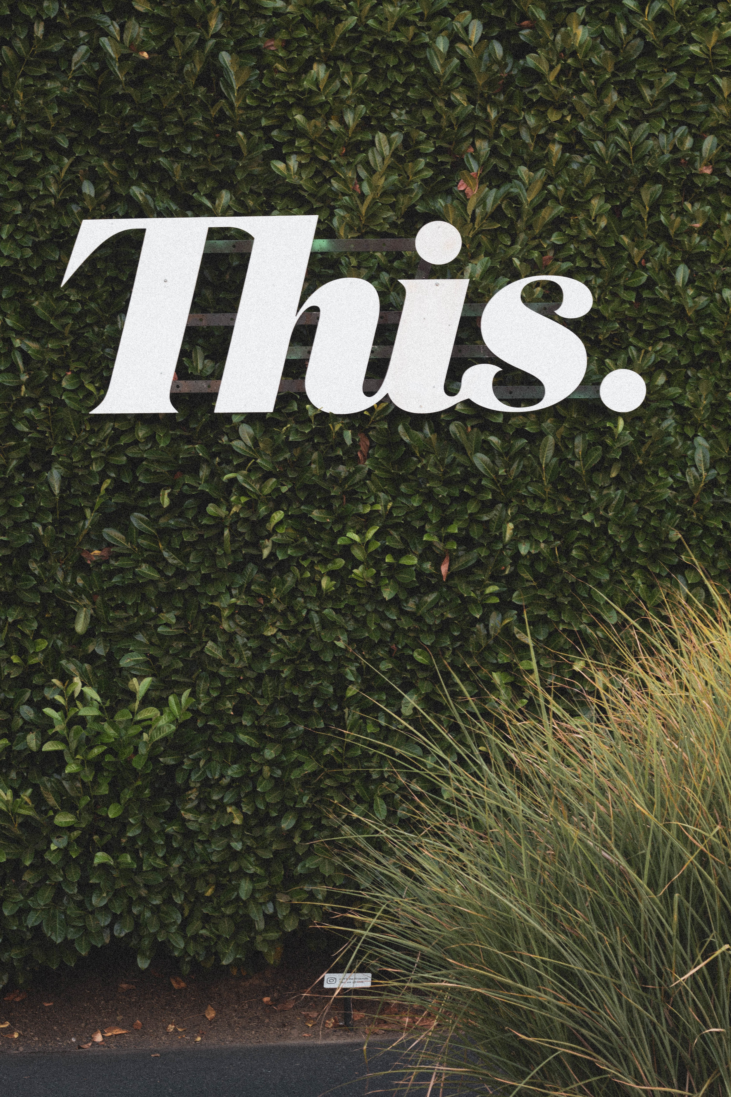 Thought Thread: This