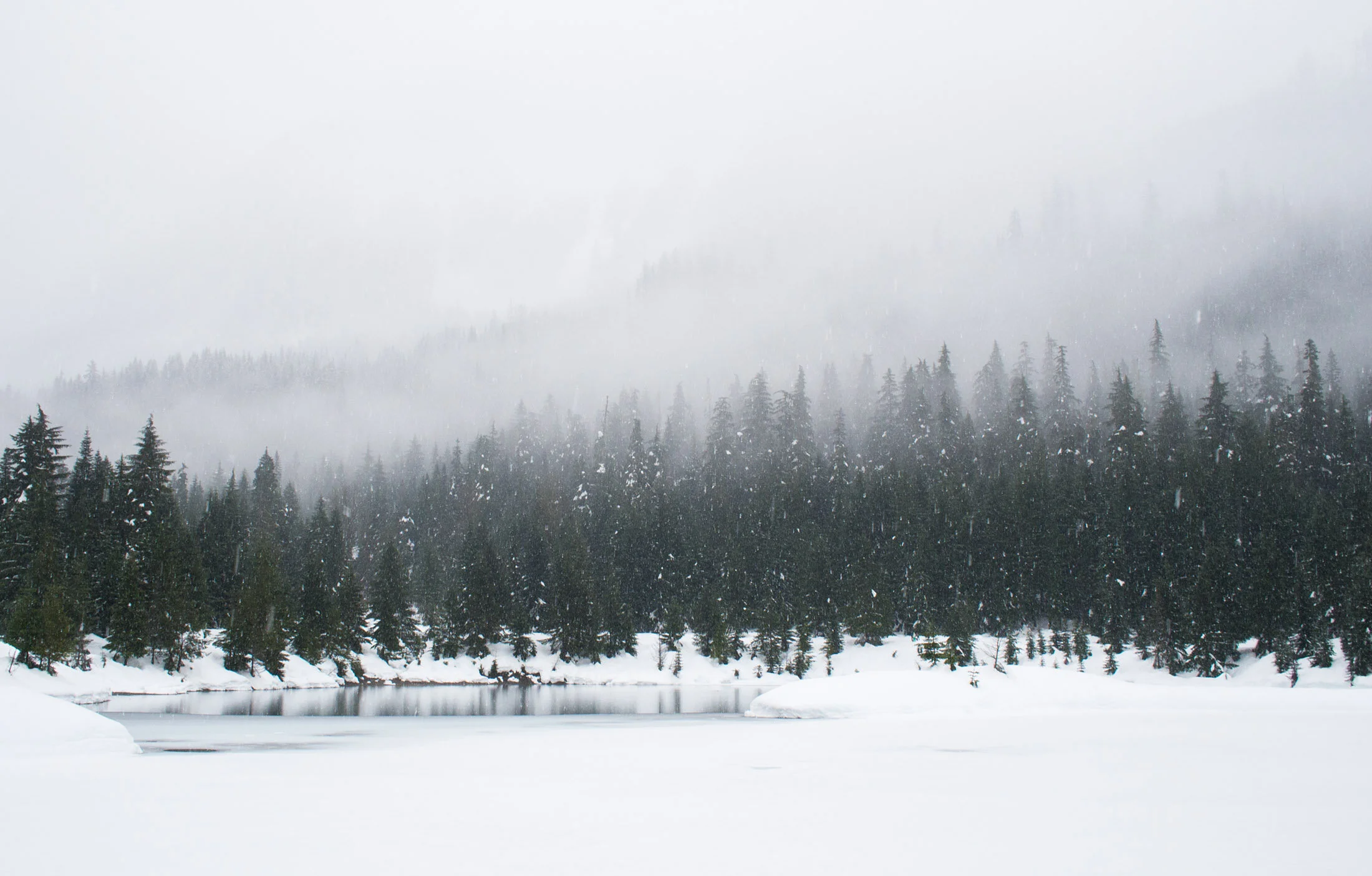 The Work of Winter