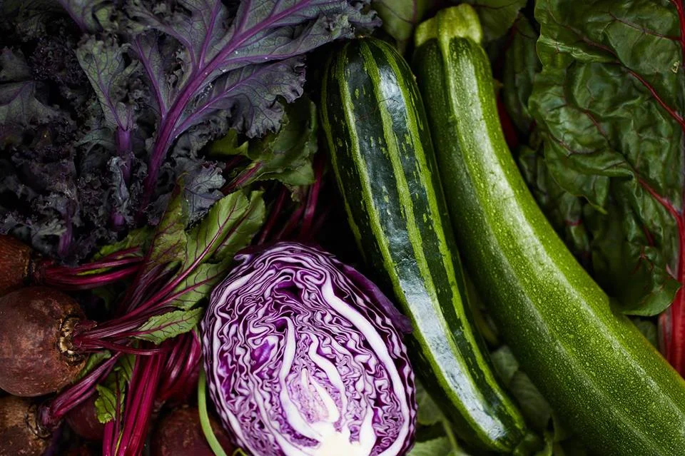 naturopath victoria, naturopathic medicine victoria, naturopathic doctor victoria, herbal medicine, nutrition, free event, health workshop