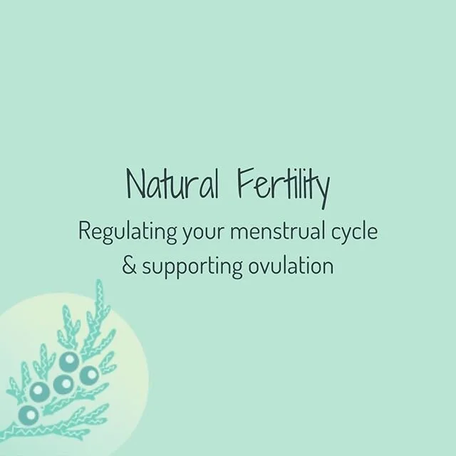 Naturopathic fertility care involves natural, non-invasive strategies that target the underlying cause of your fertility struggles.
🌼
Preconception care takes place 3-6 months prior to conception and includes:
✔️Optimizing nutrition
✔️Decreasing tox