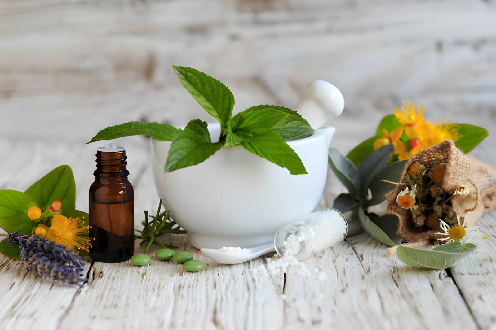 Personalized naturopathic treatment and wellness guide