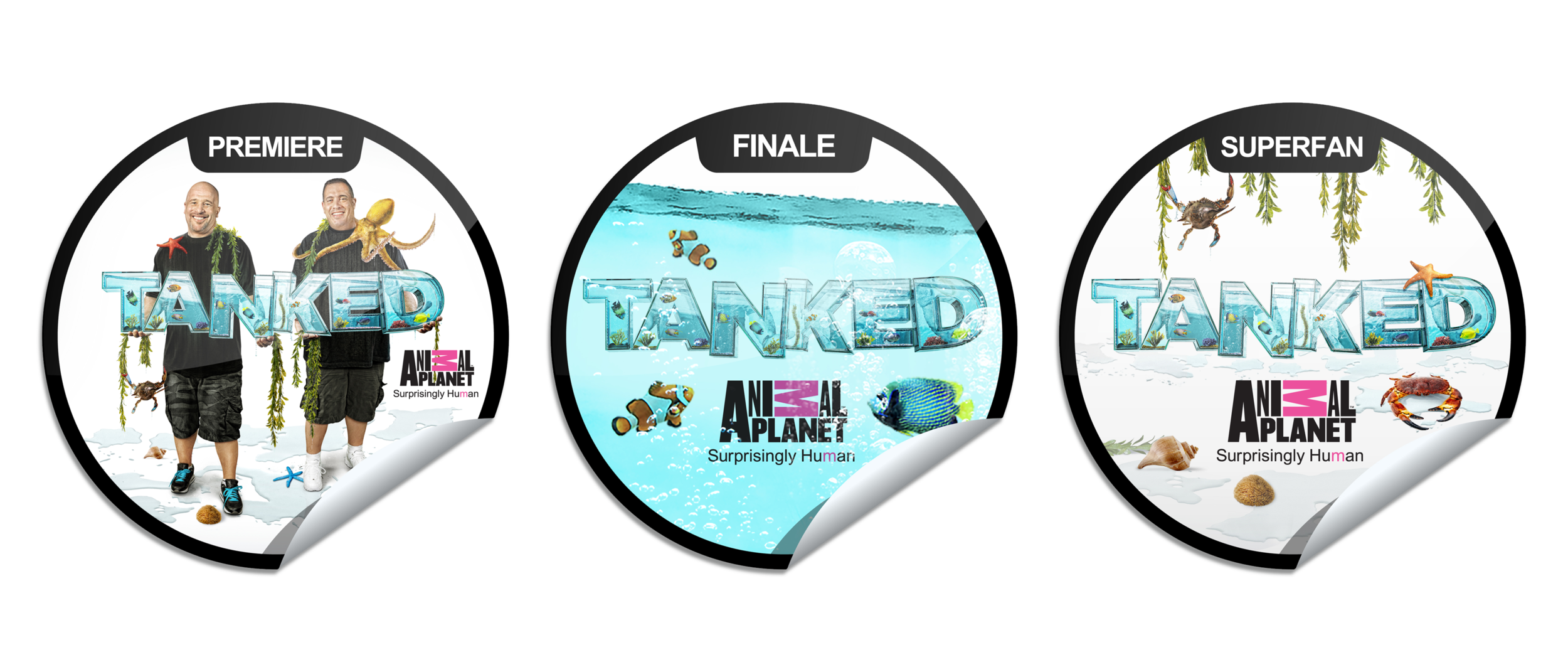 TANKED_GET_GLUE_FLAT.png