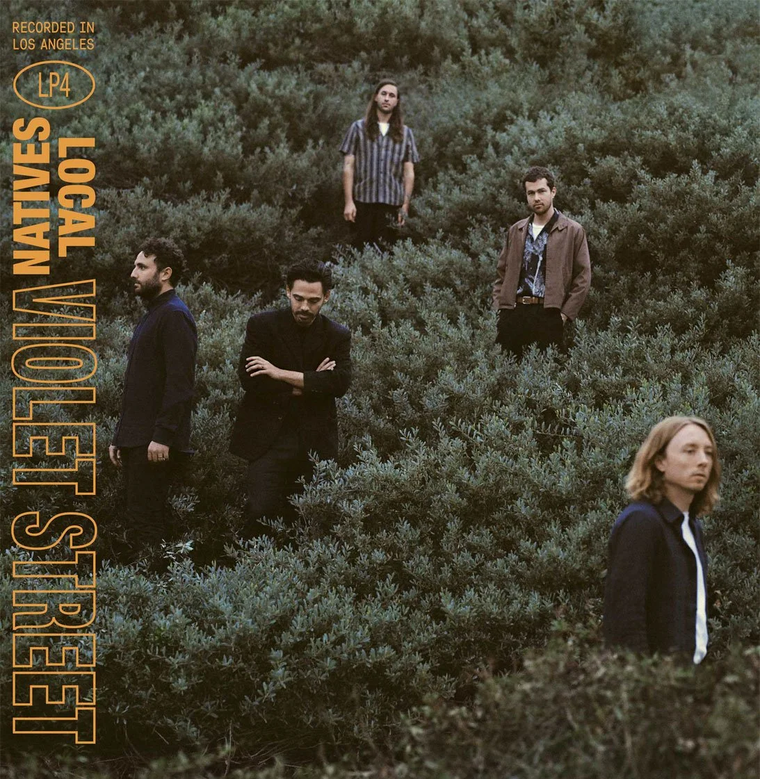 localnatives-web0.jpg