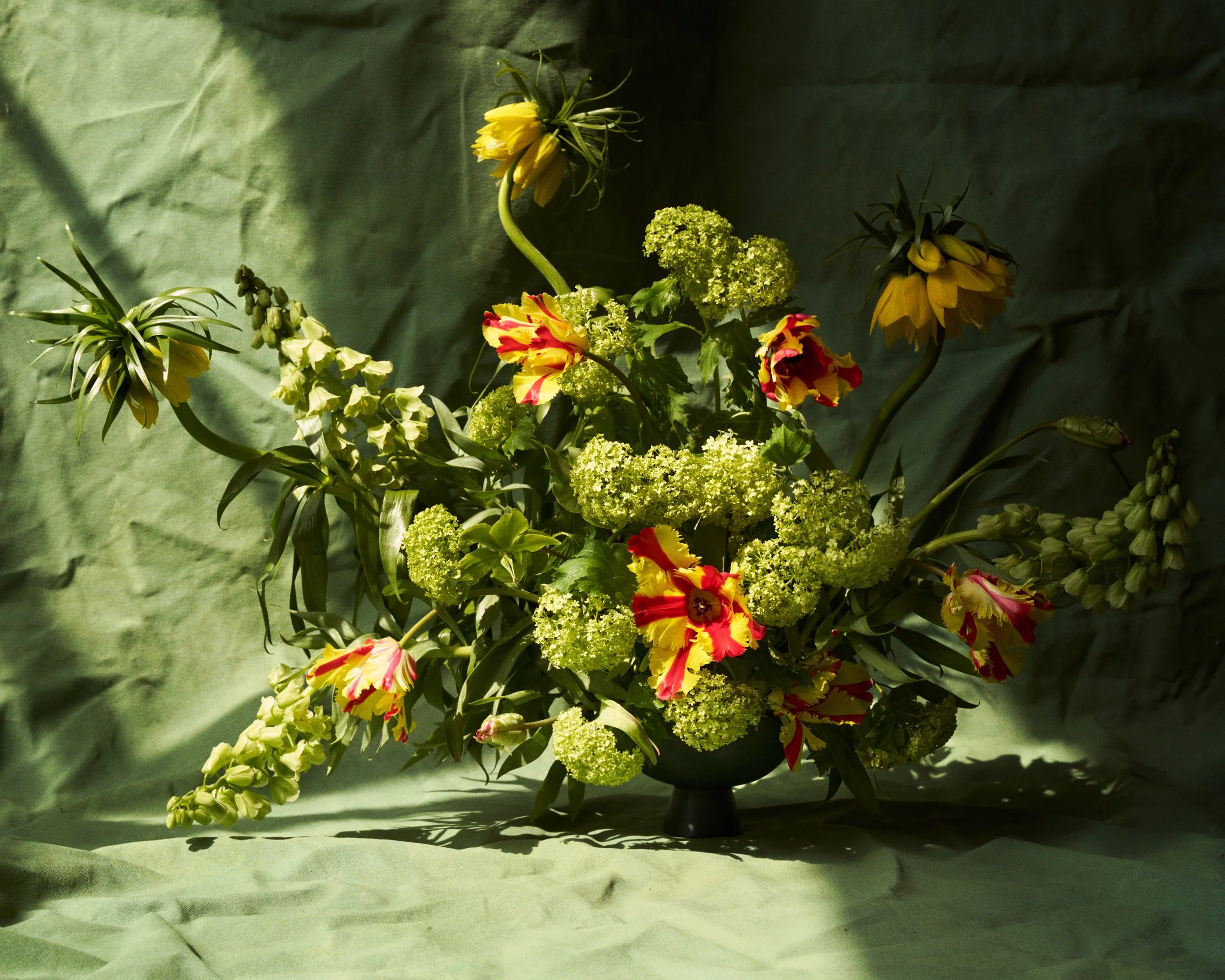 03_24_CampbellPearson_test_068.jpg