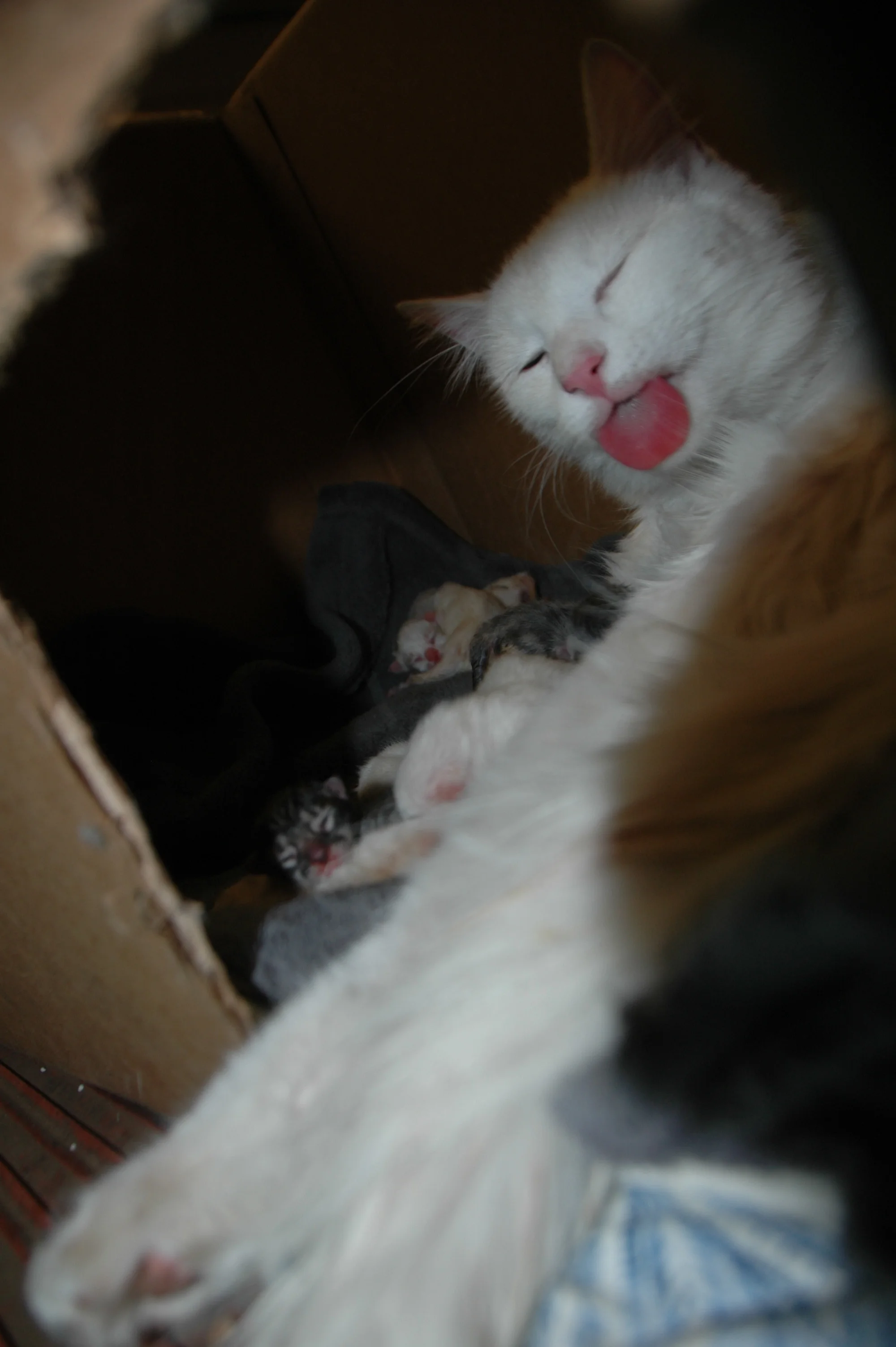 DSC_8949.JPG