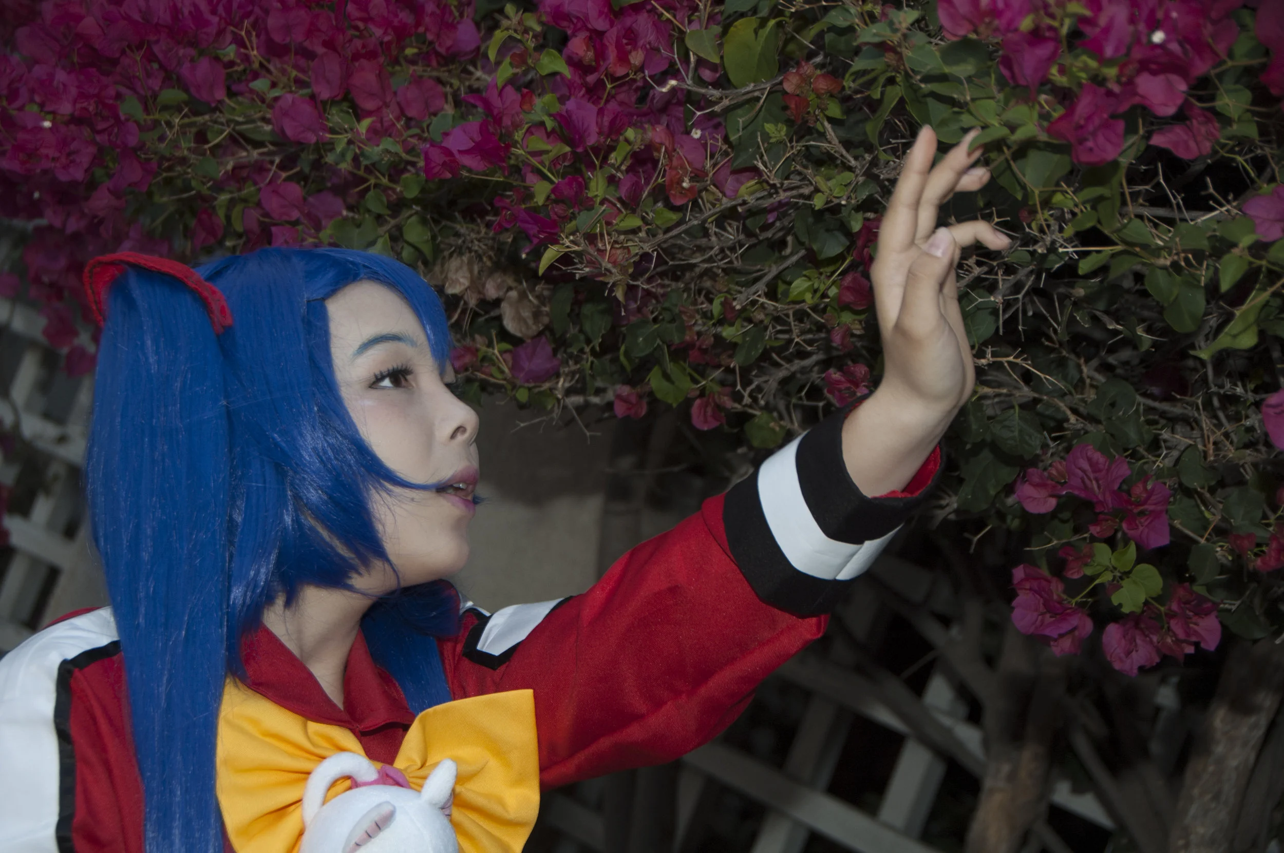 super dimension convention004.jpg