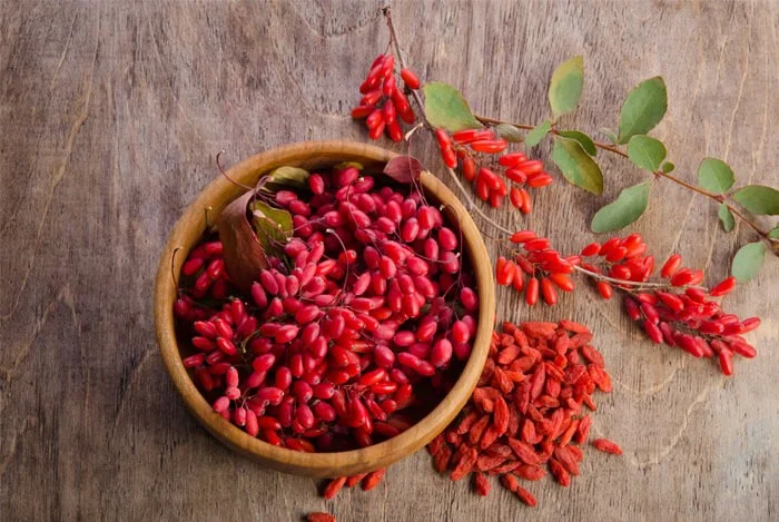 goji.jpg