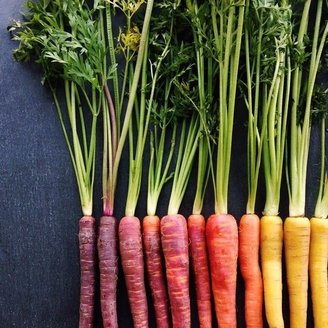 Carrots.jpg