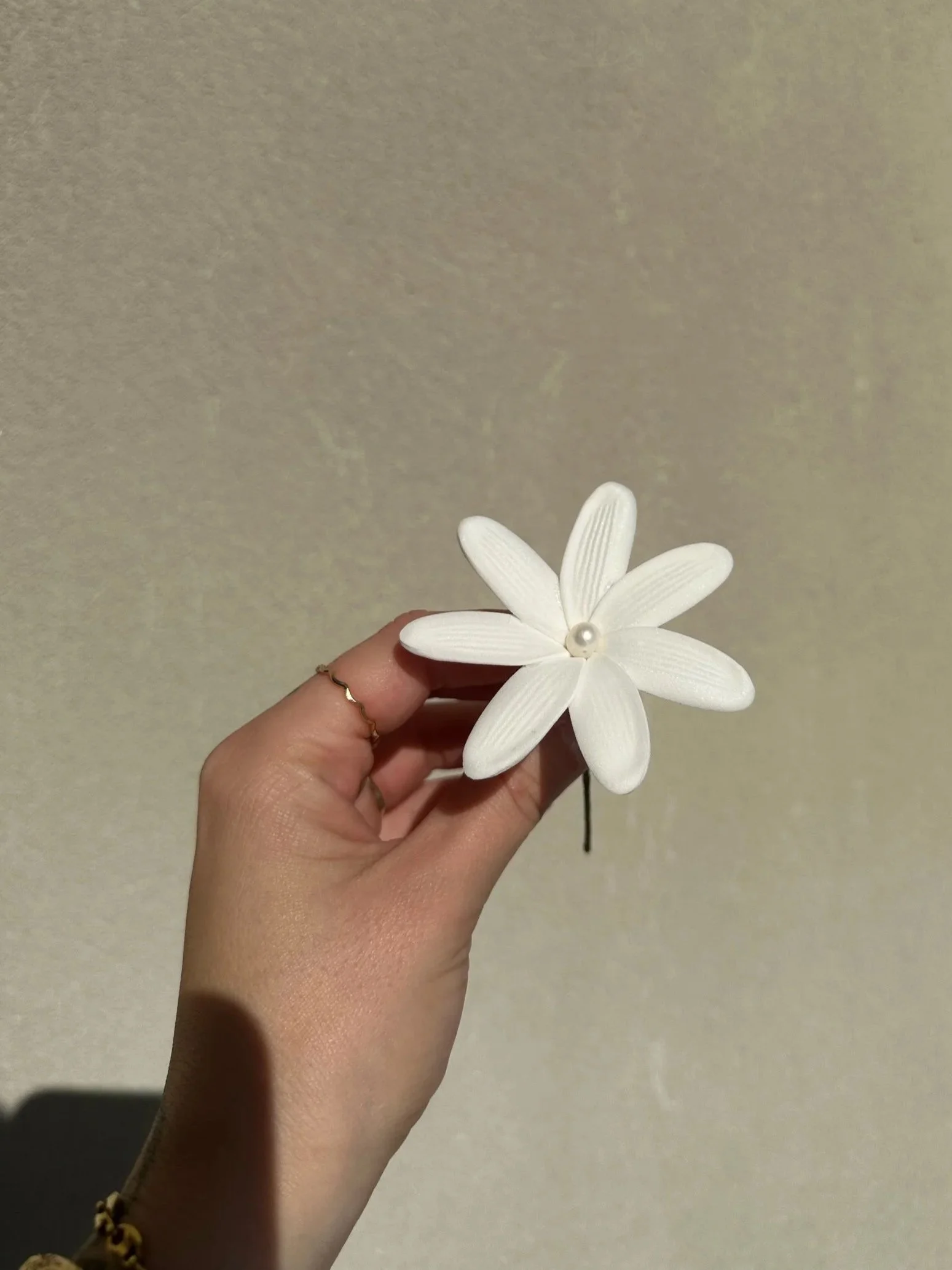D8DFB077-6A4E-47F7-9796-AB34F0B0FA38.jpg