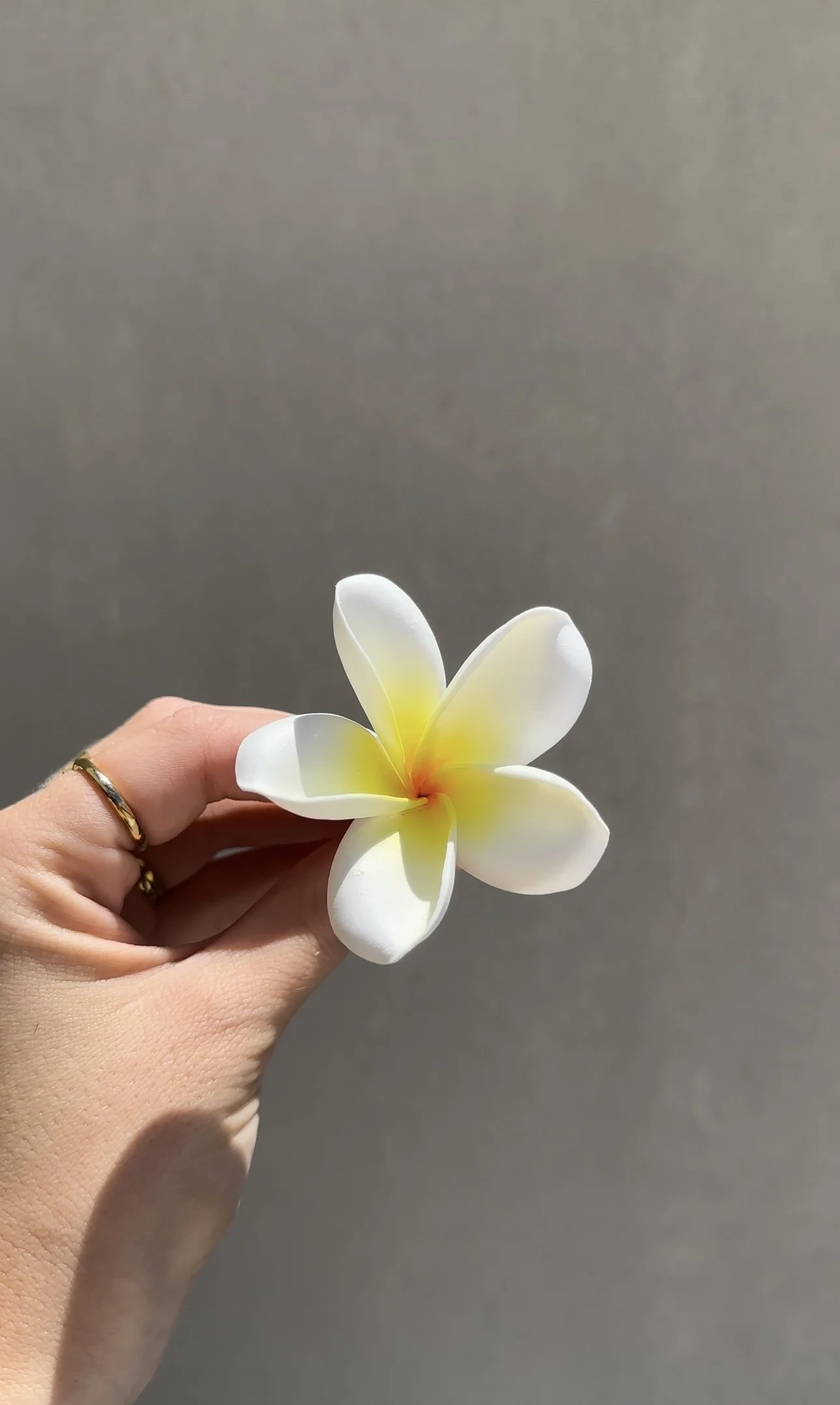 Forever Pua - Plumeria