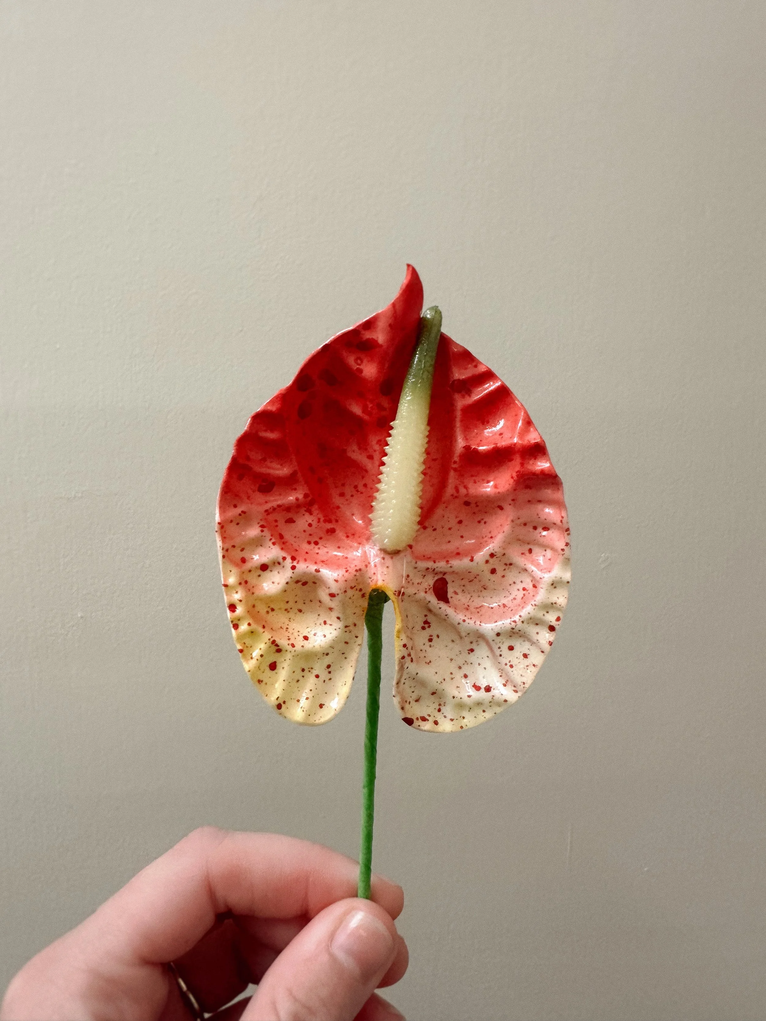 Forever Pua - Red Speckled Anthurium Large