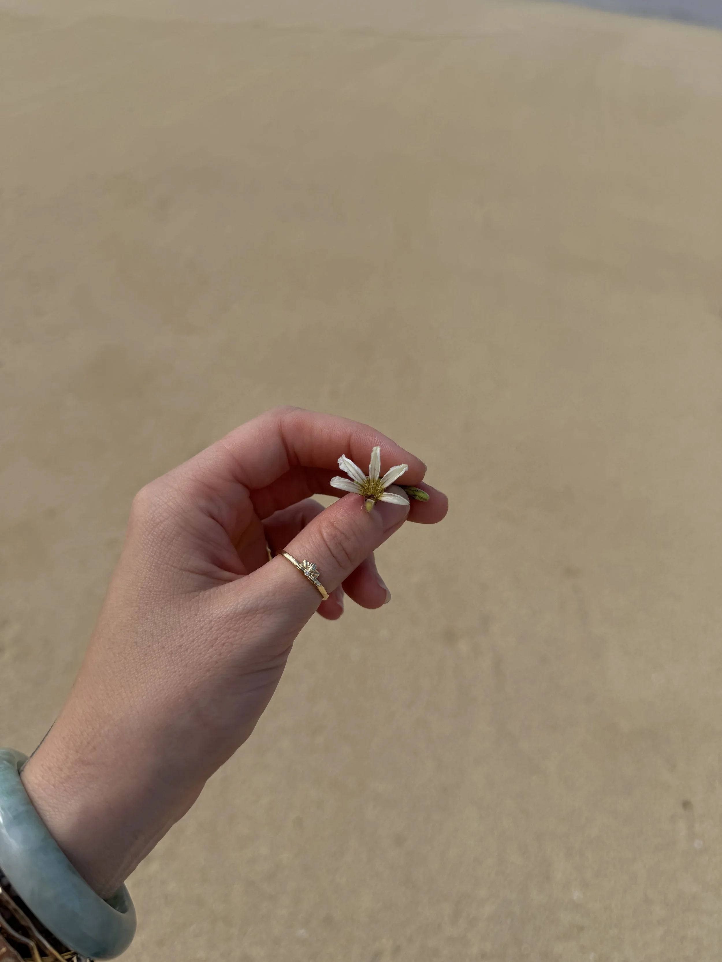 IMG_5569.jpeg