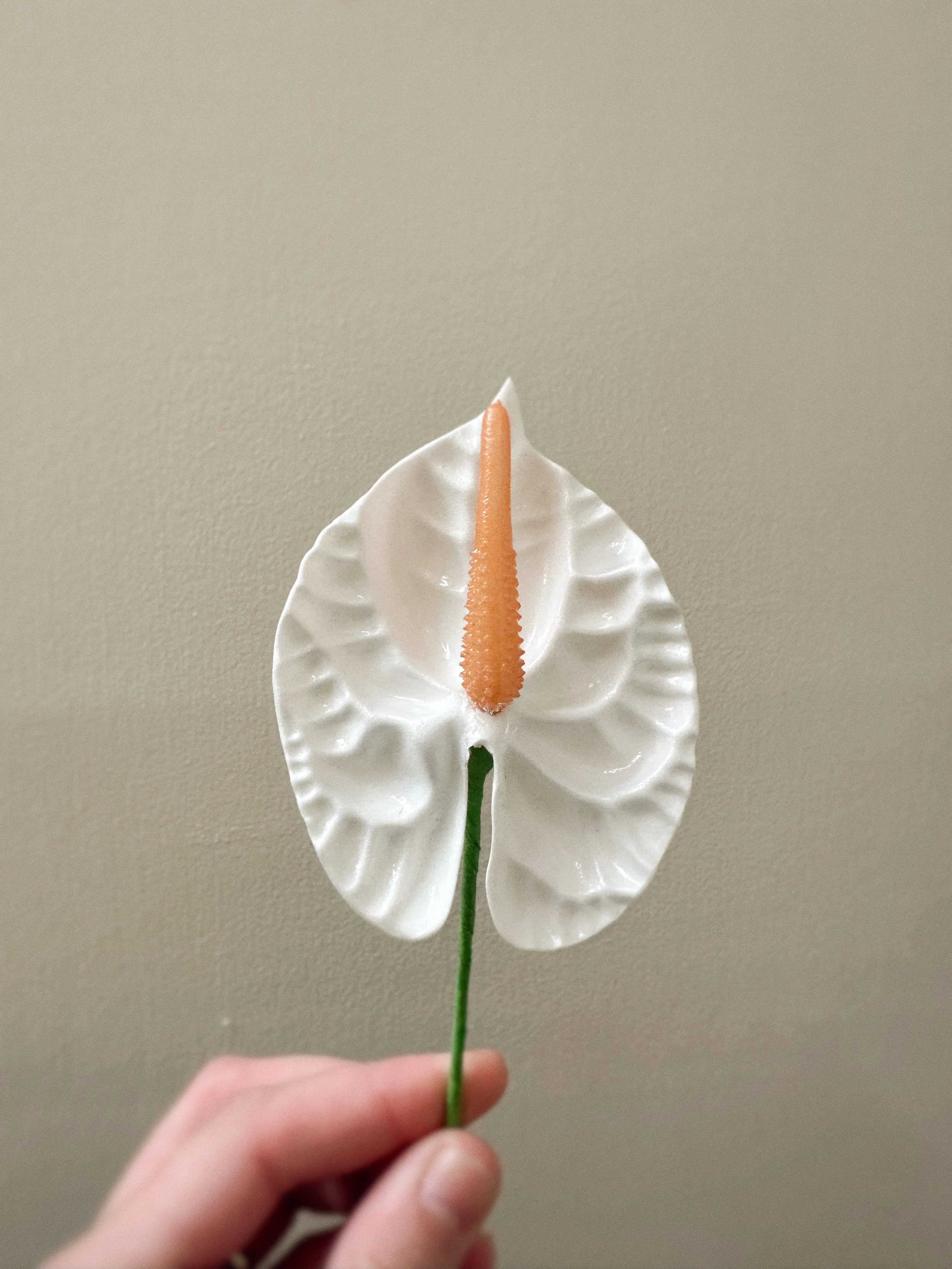Forever Pua - White Anthurium Large