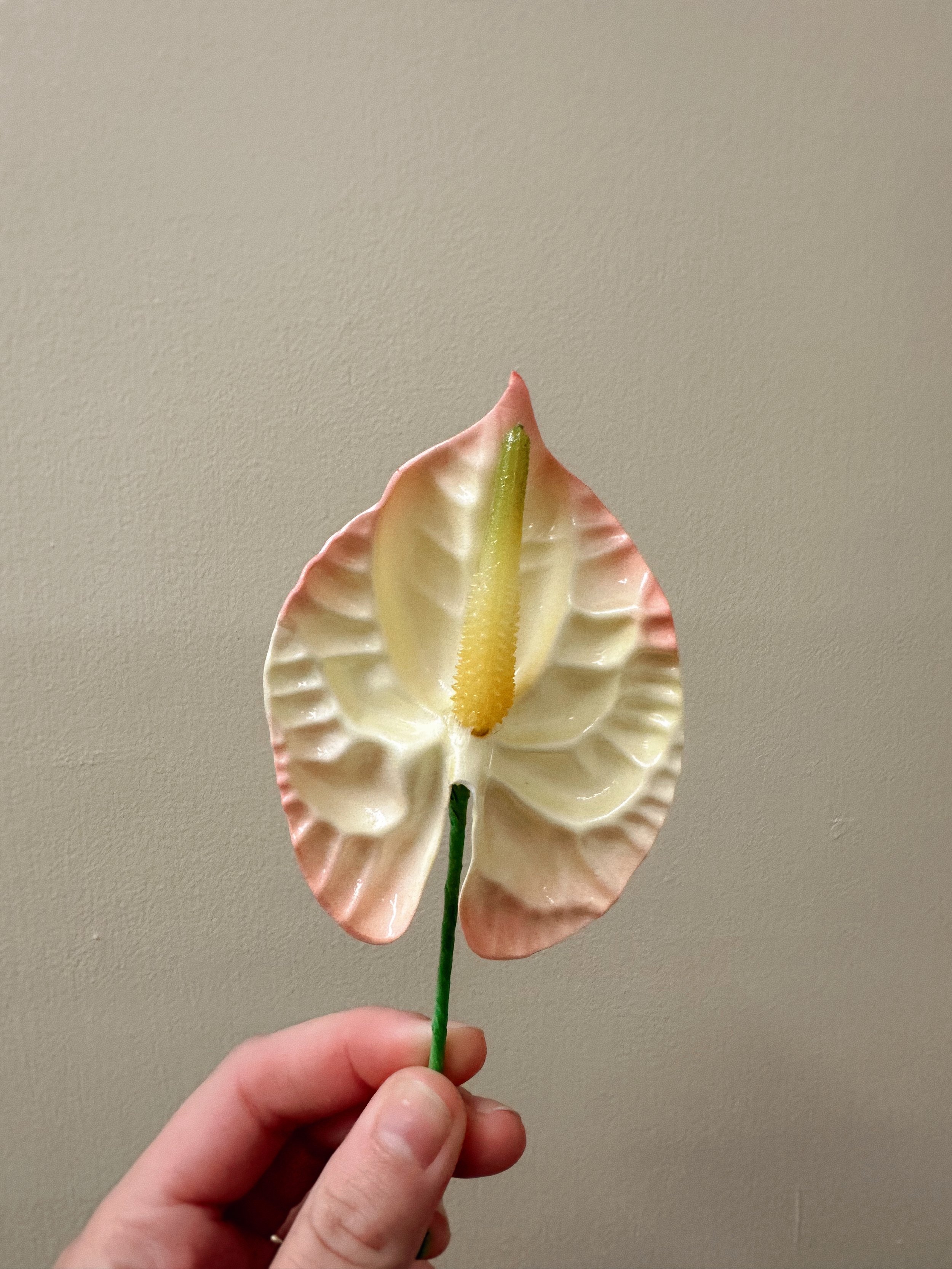 Forever Pua - Baby Yellow/Pink Anthurium Large