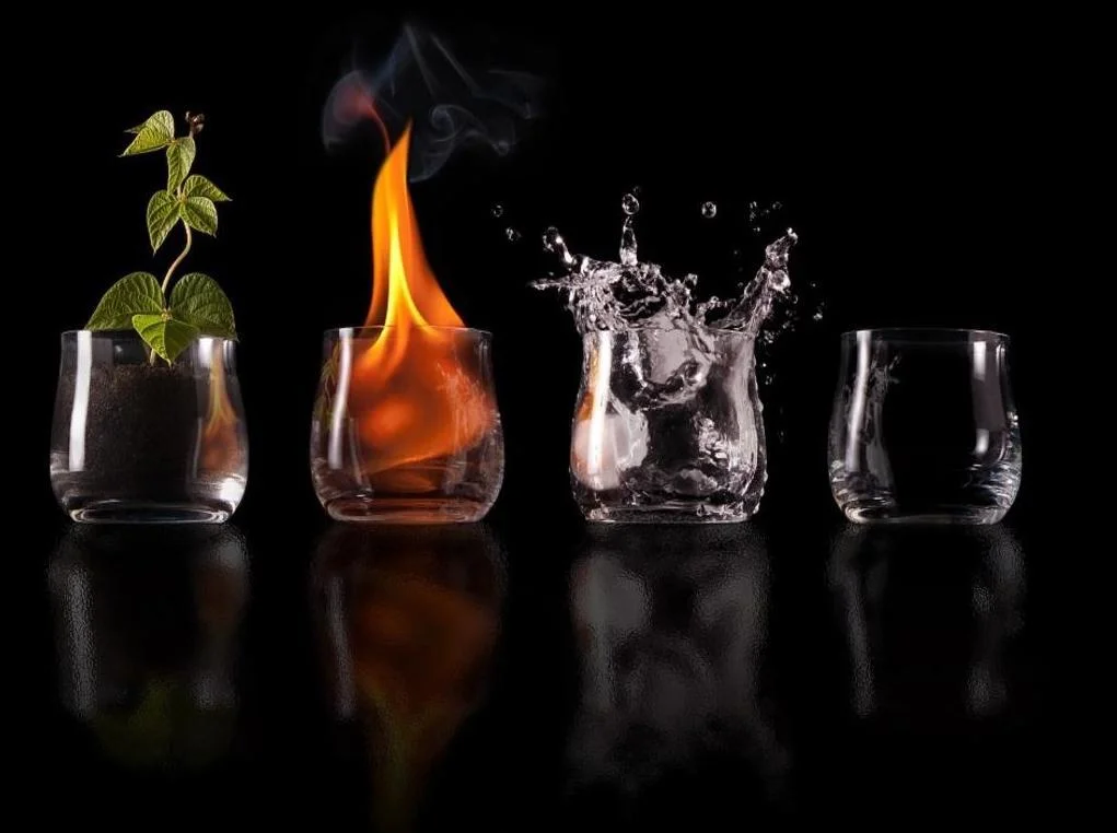 Purusha Yoga Ayurveda Basics Certification