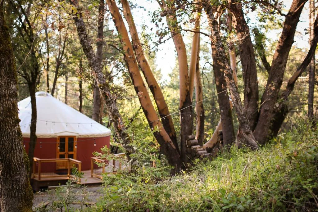 SOLD OUT!! Mountain Medicine : An Embodiment Retreat with Lucia Grace