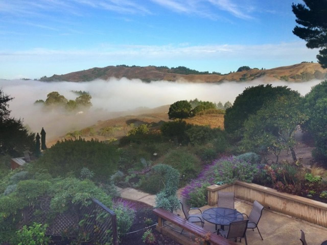 GATHER : An Intimate Fall Retreat with Lucia Grace + Friends