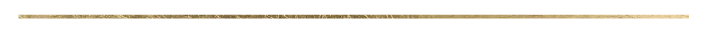 JSgoldline-short-06.png