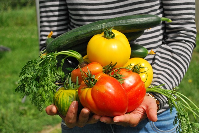 vegetables-742095_640.jpg