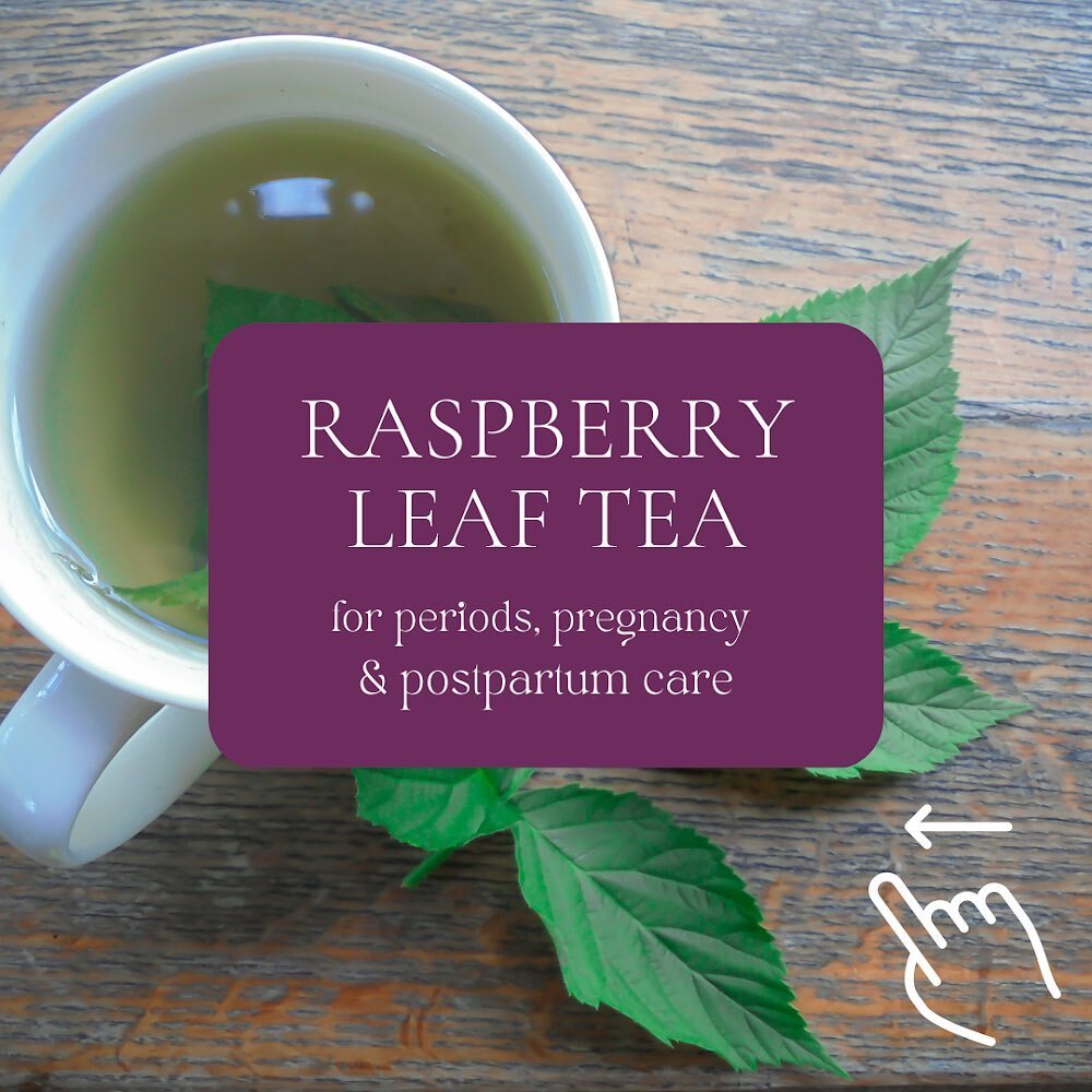 Raspberry leaf makes a delicious and healthful tea that can support healthy periods, pregnancy and postpartum care!

Raspberry leaf had been used for centuries as an herbal ally for women during many stages of life. As a nutrient rich uterine tonic, 