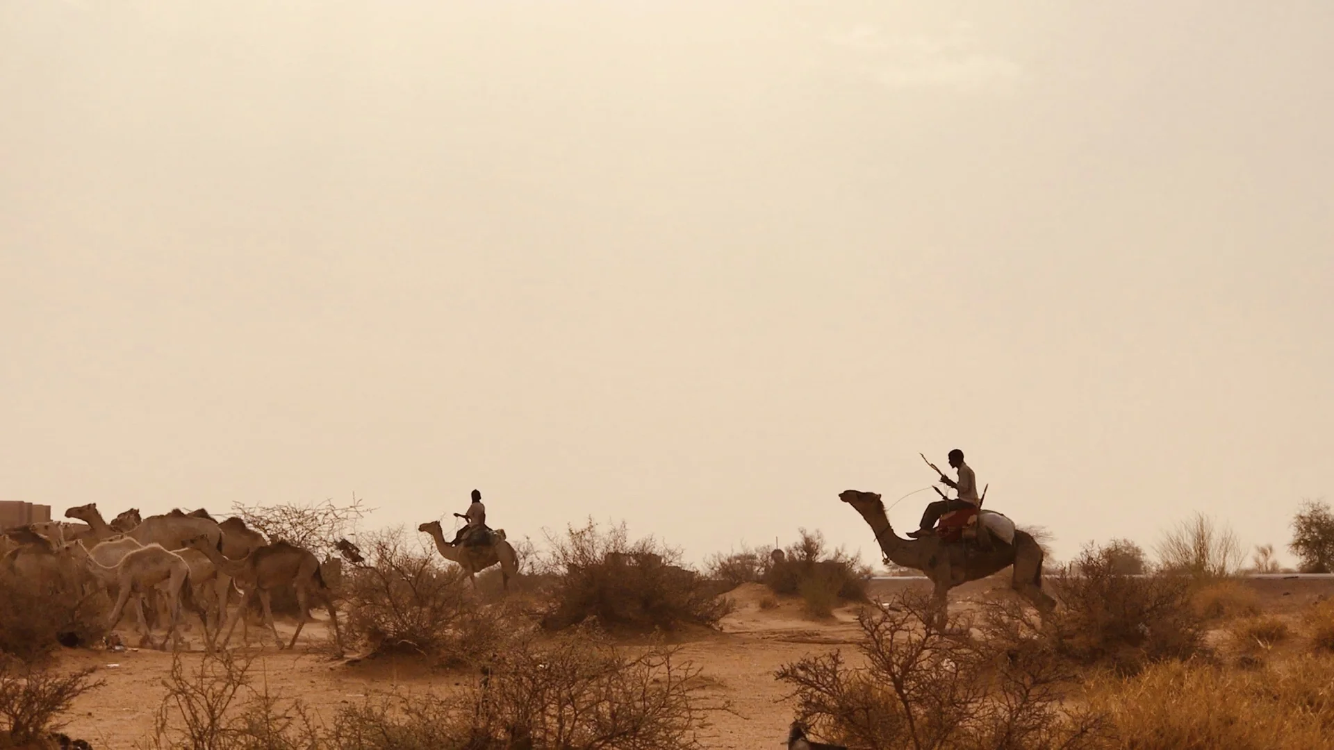A man drives his camel caravan out into the desert, past the last security checkpoint in Gao. Beyond the perimeter of security forces, bandits and armed groups continue violent attacks, driving fear and ongoing instability. But life continues for tr…