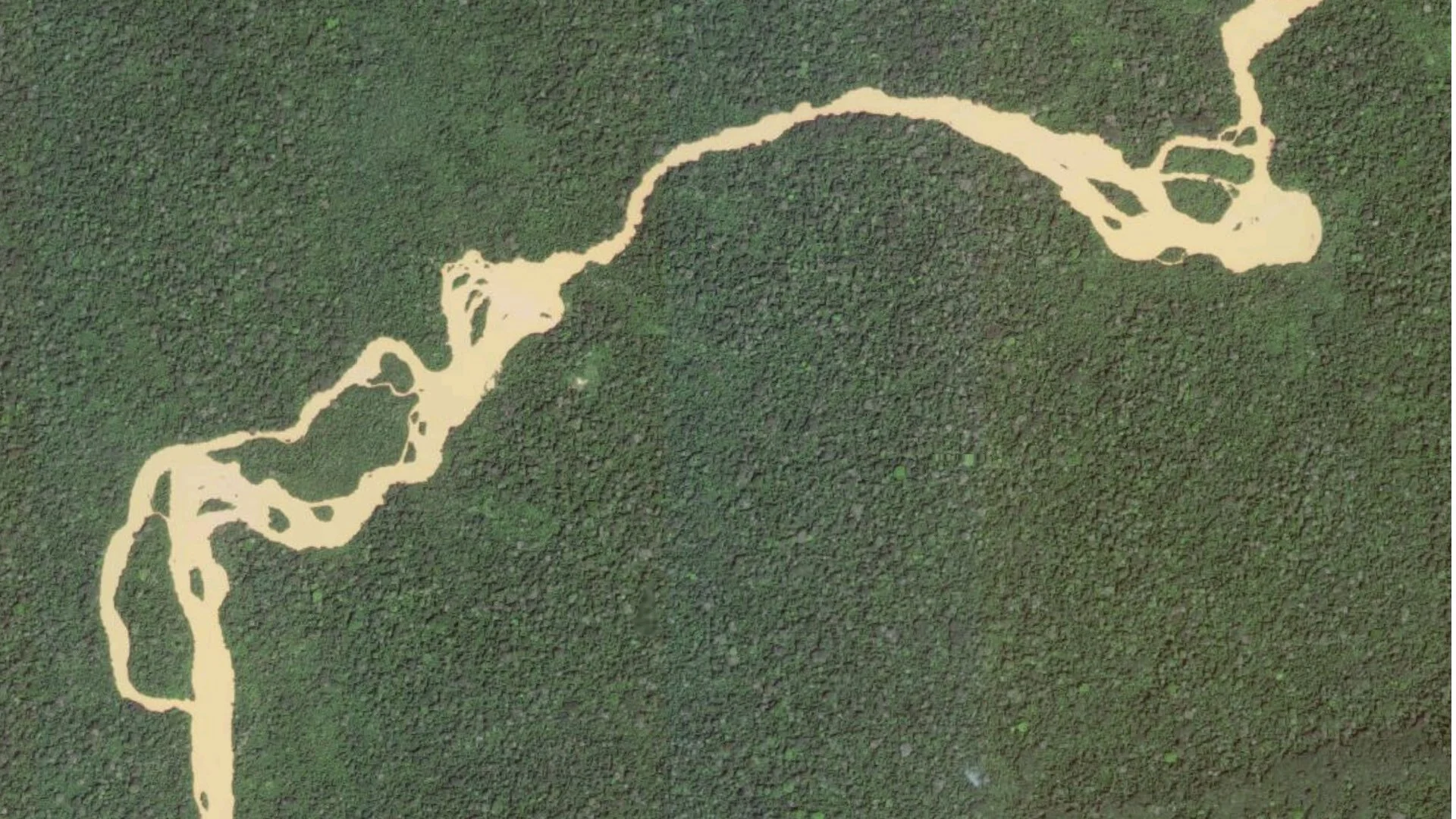 The forest outside Beni quickly become dense and impregnable. Swollen rivers and muddy roads make it hard to deliver vaccinations or get patients in for treatment. But the forest also holds dozens of Ebola cases that go undetected. When people devel…