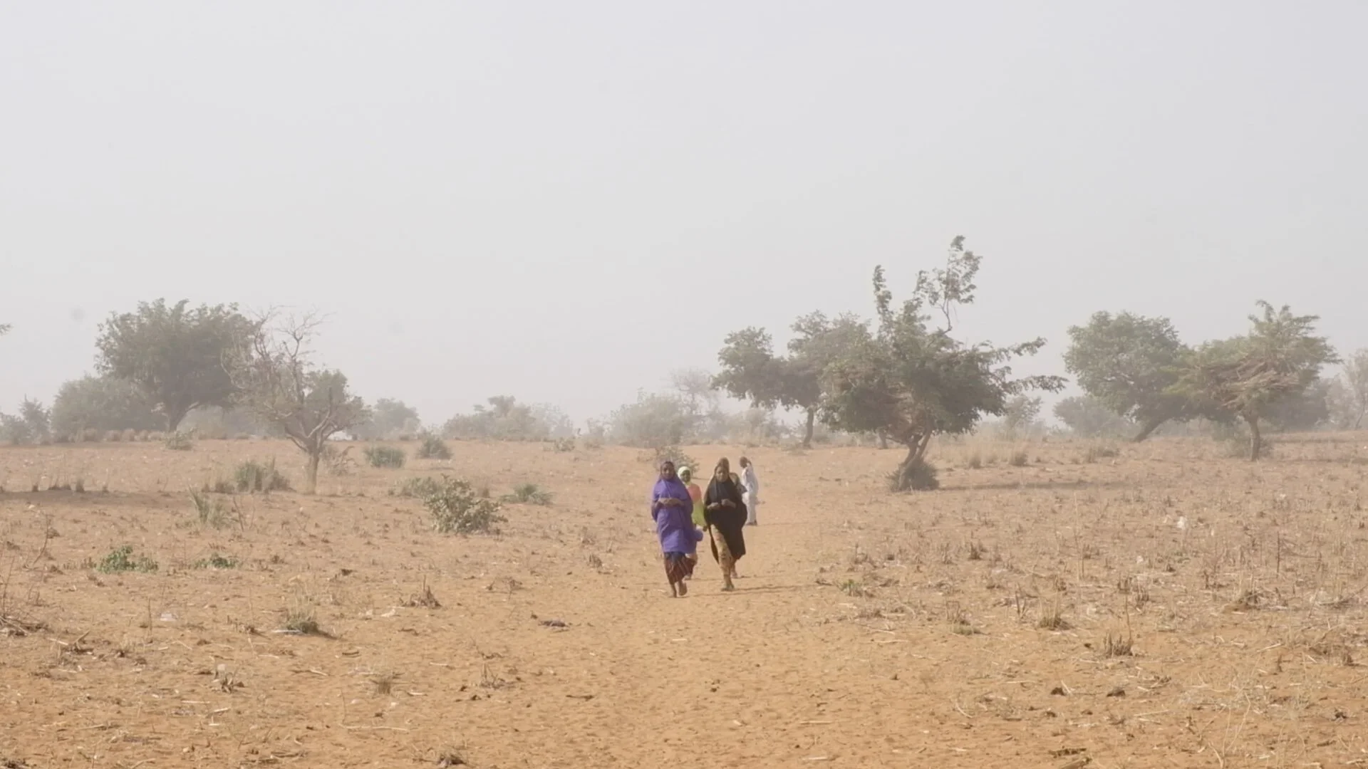Girls on their way to school in Sokoto state in northwest Nigeria. The prevalence of early marriage in the area means that girls have to push to continue their education. Nigerian girls describe a culture of fear where violence is common. In rural S…
