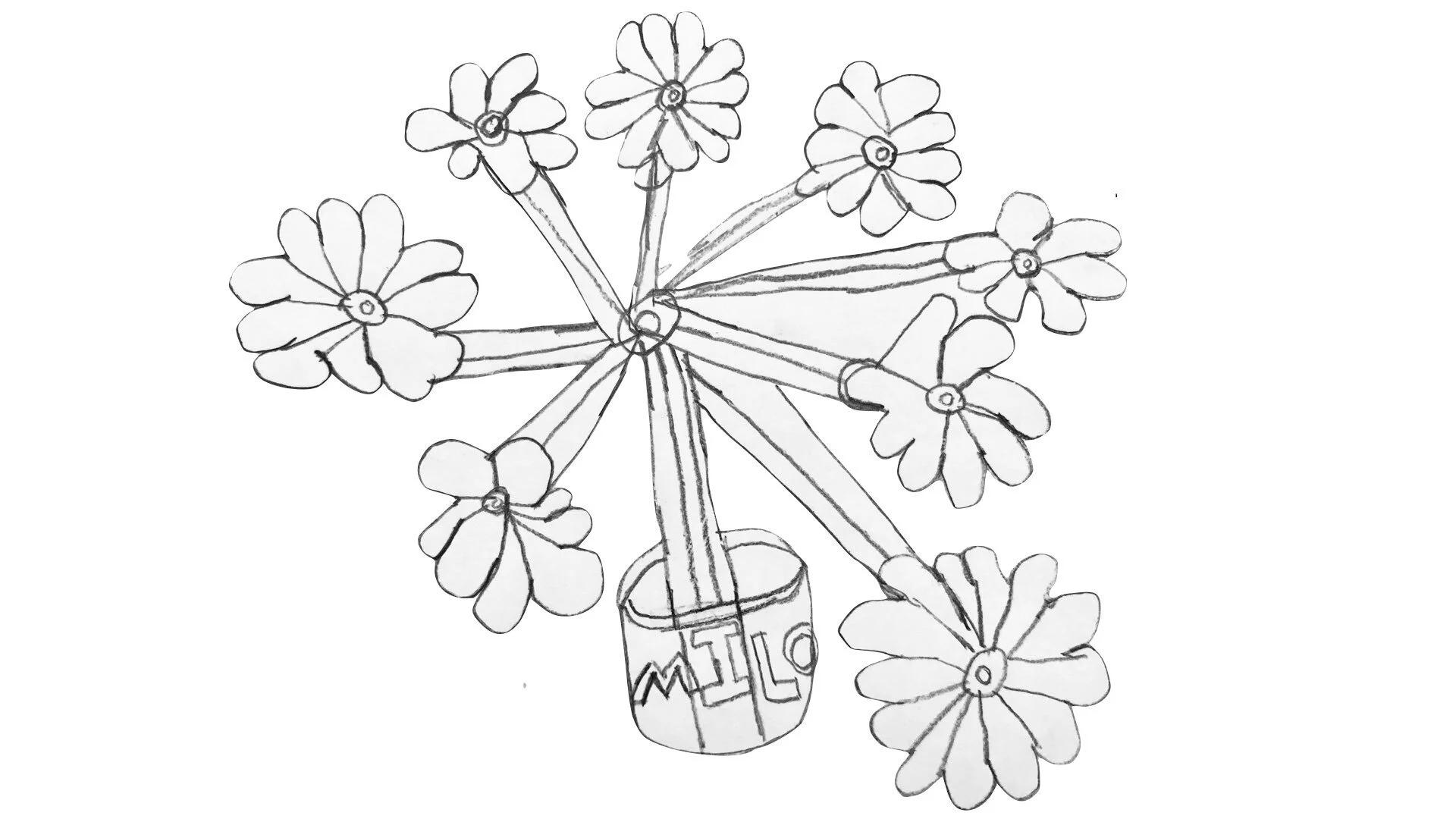 Drawing of flowers in a Milo pot by girls at the TKTKTK School in Abuja.