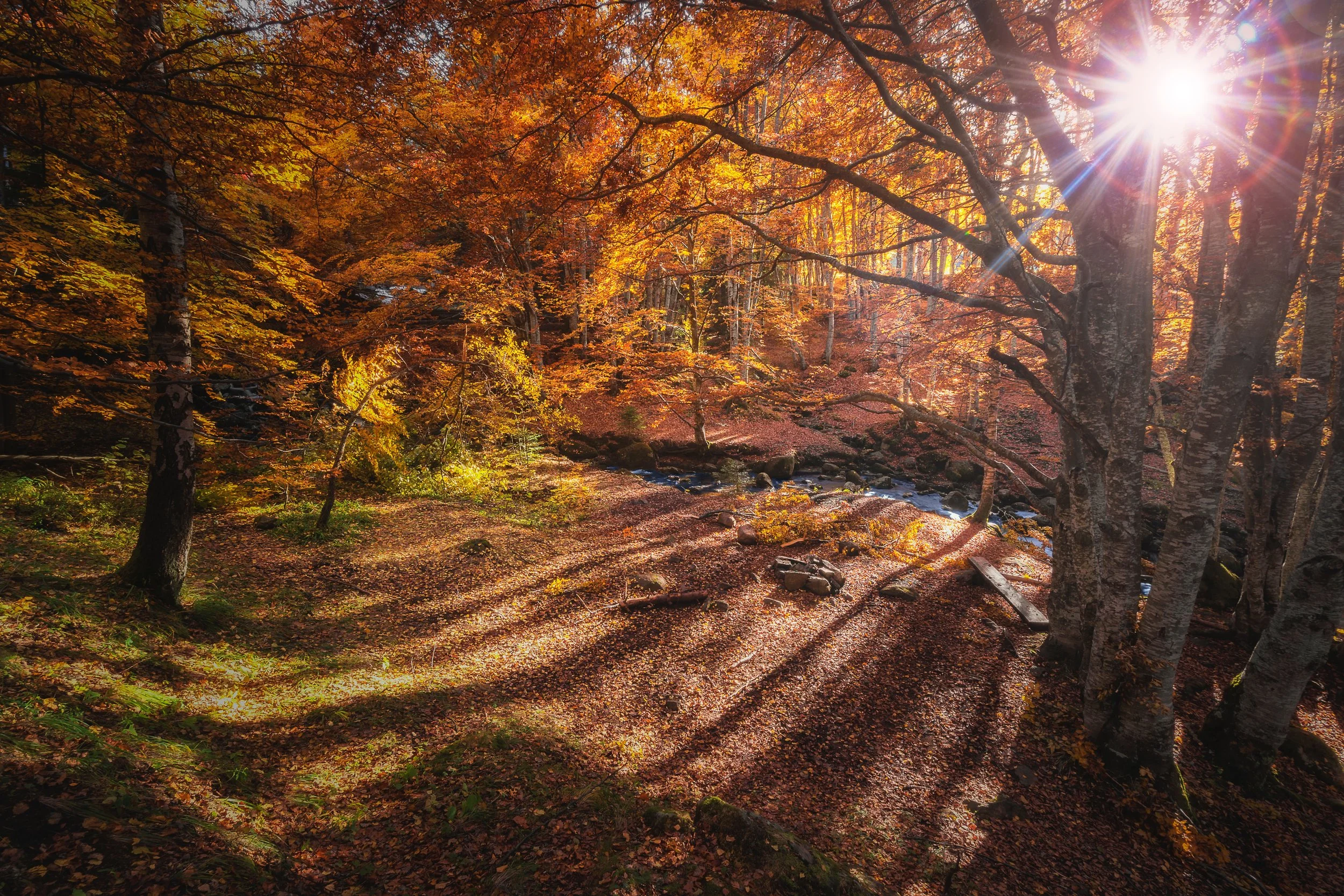 unsplash-Veliko Karachiviev_Bulgaria.jpg