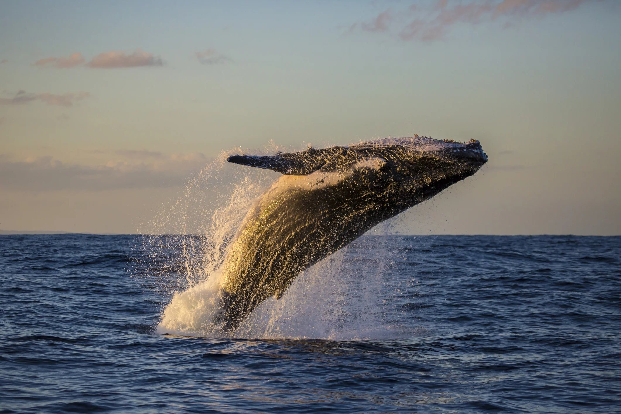 Photo by Mark Wong/iStock / Getty Images