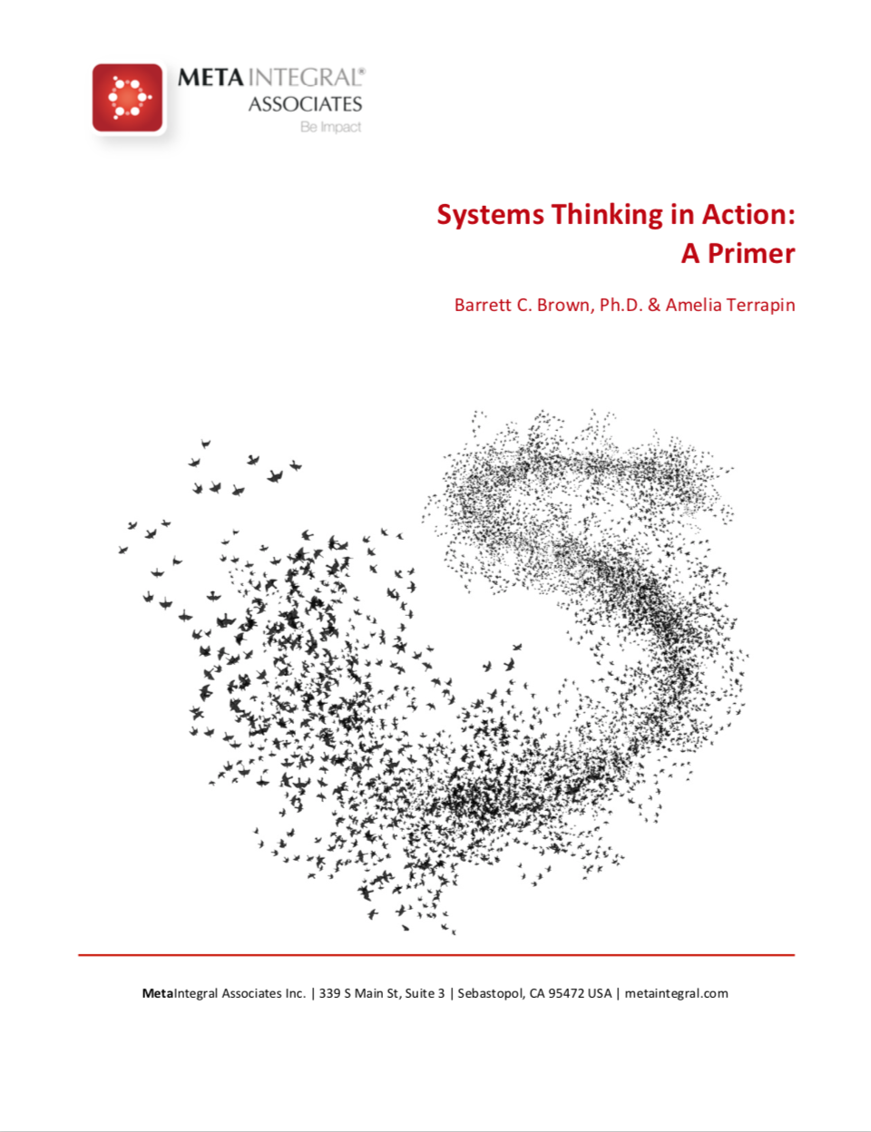 Article_Systems-Thinking-in-Action.png