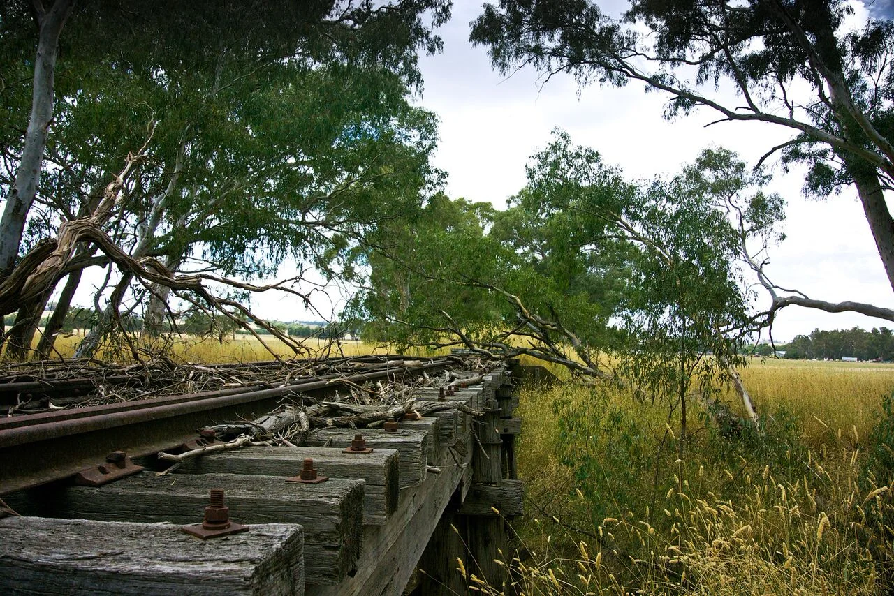 Photo+16-1.jpg