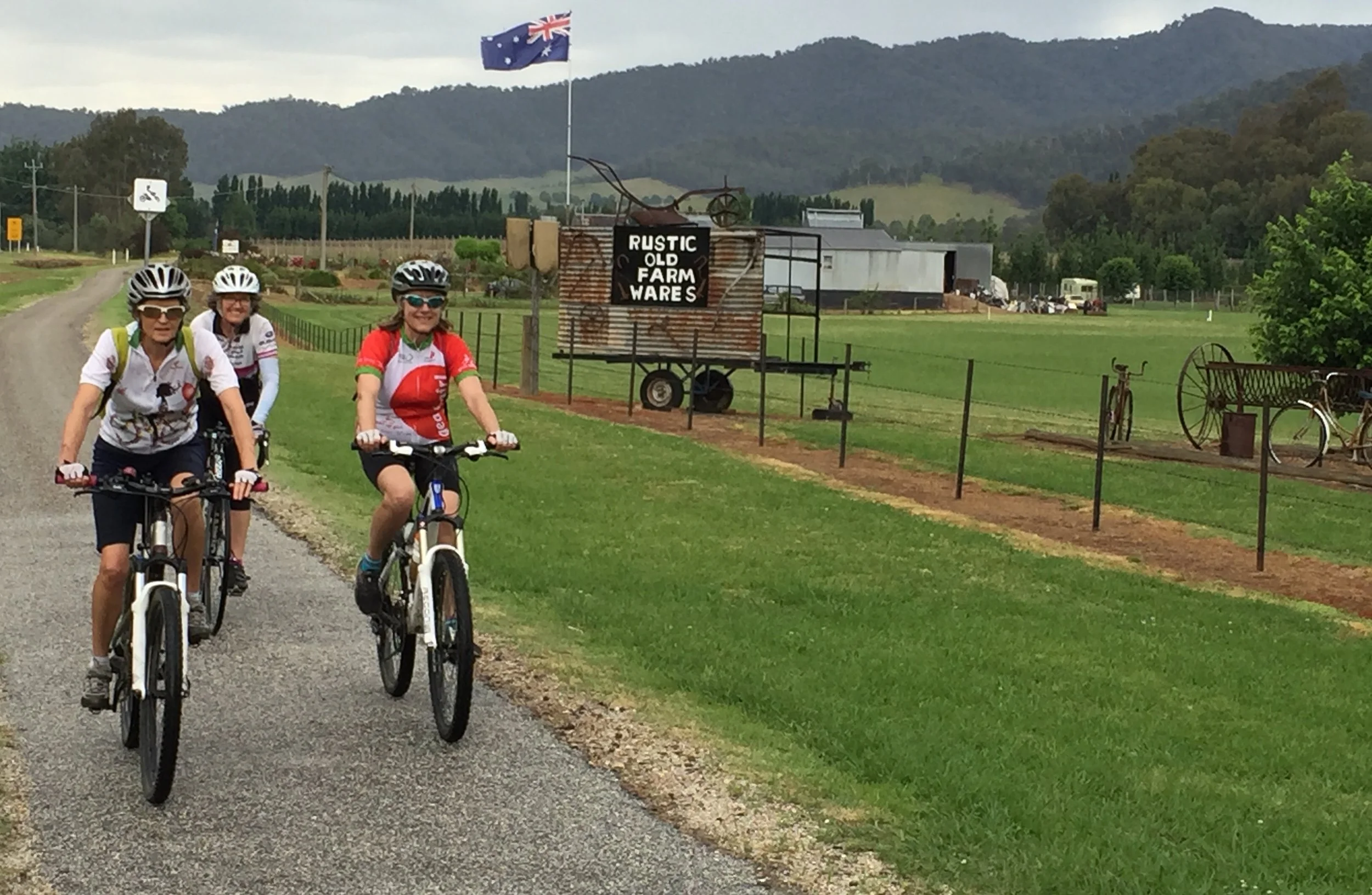 Feedback concluded on the Implementation Plan