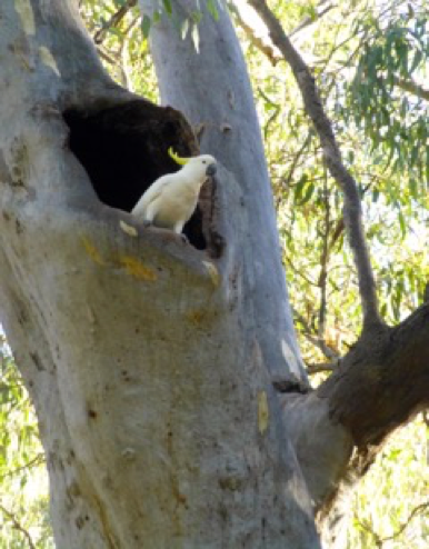 image002.png