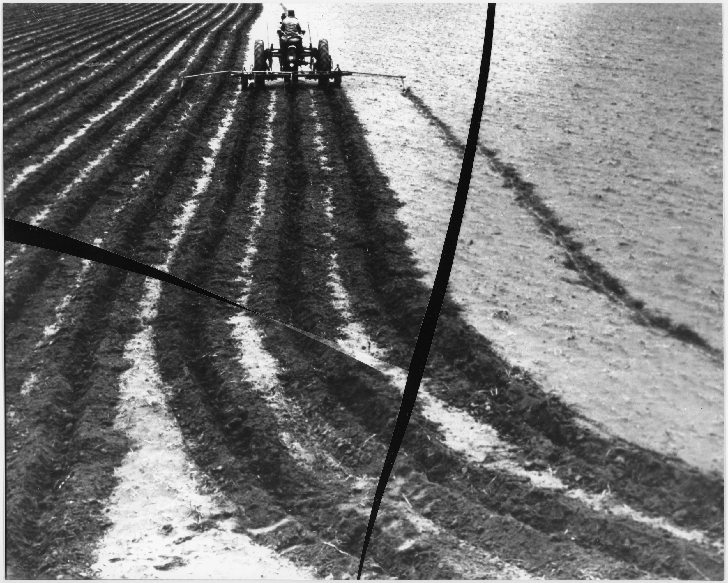   Contour Plow, Texas, 1960s , 2025 Silver gelatin contact print 16× 20in 