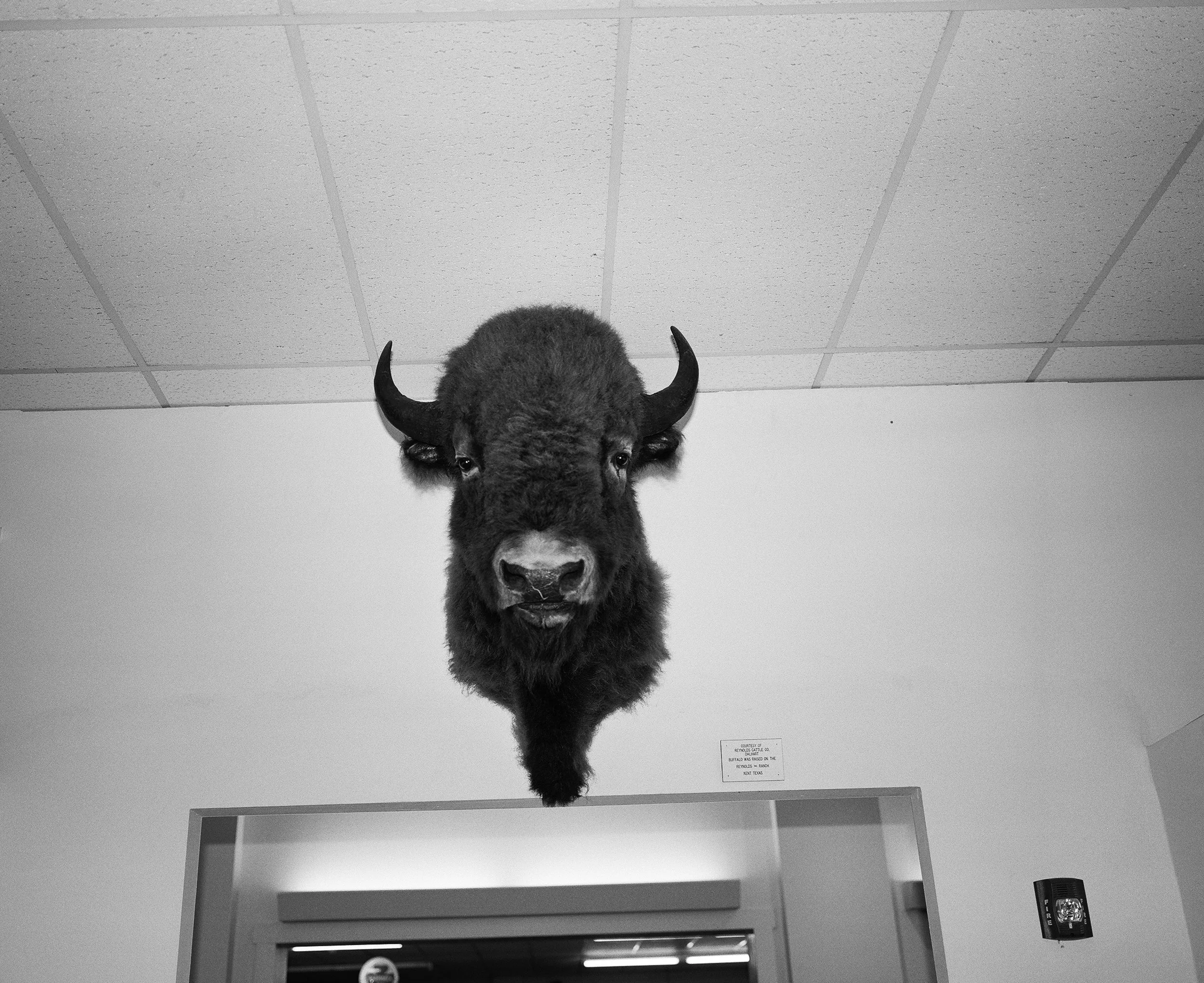   XIT Museum, Dalhart, TX,  2024 Silver gelatin print, 16×20in.     