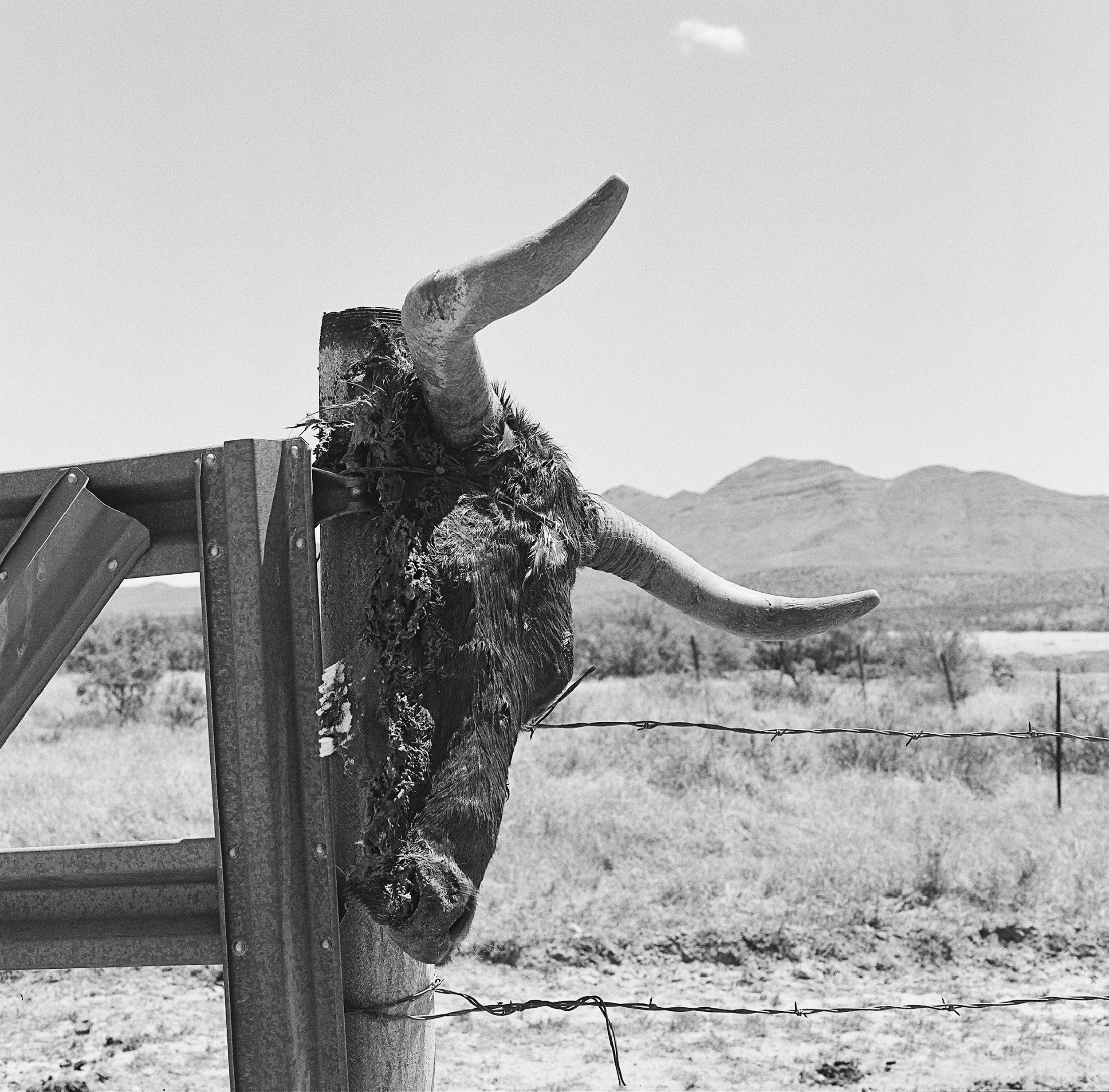    Chispas Rd., Van Horn, TX , 2023 Silver gelatin print, 12×12  
