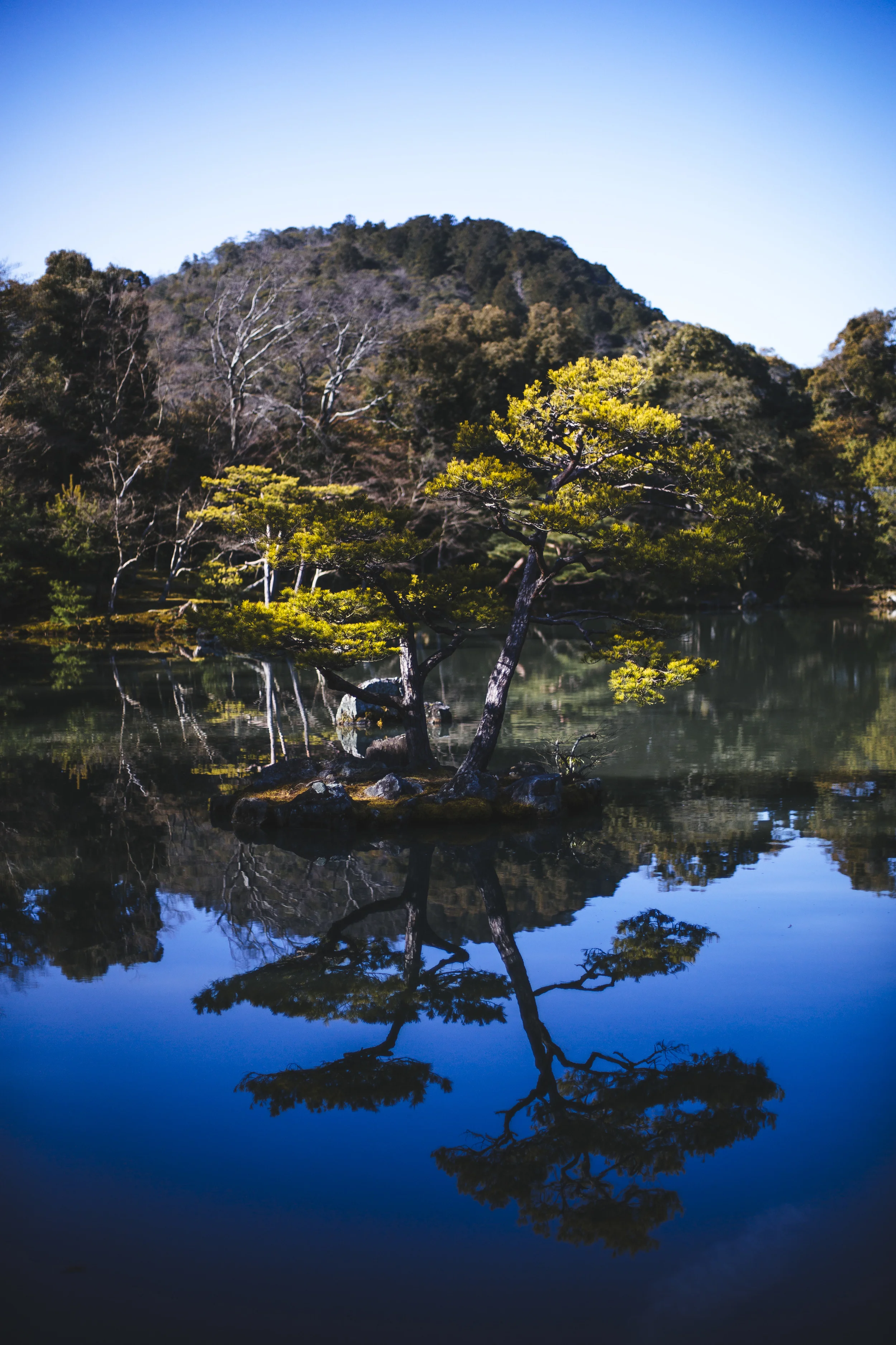 GO6A7350.jpg