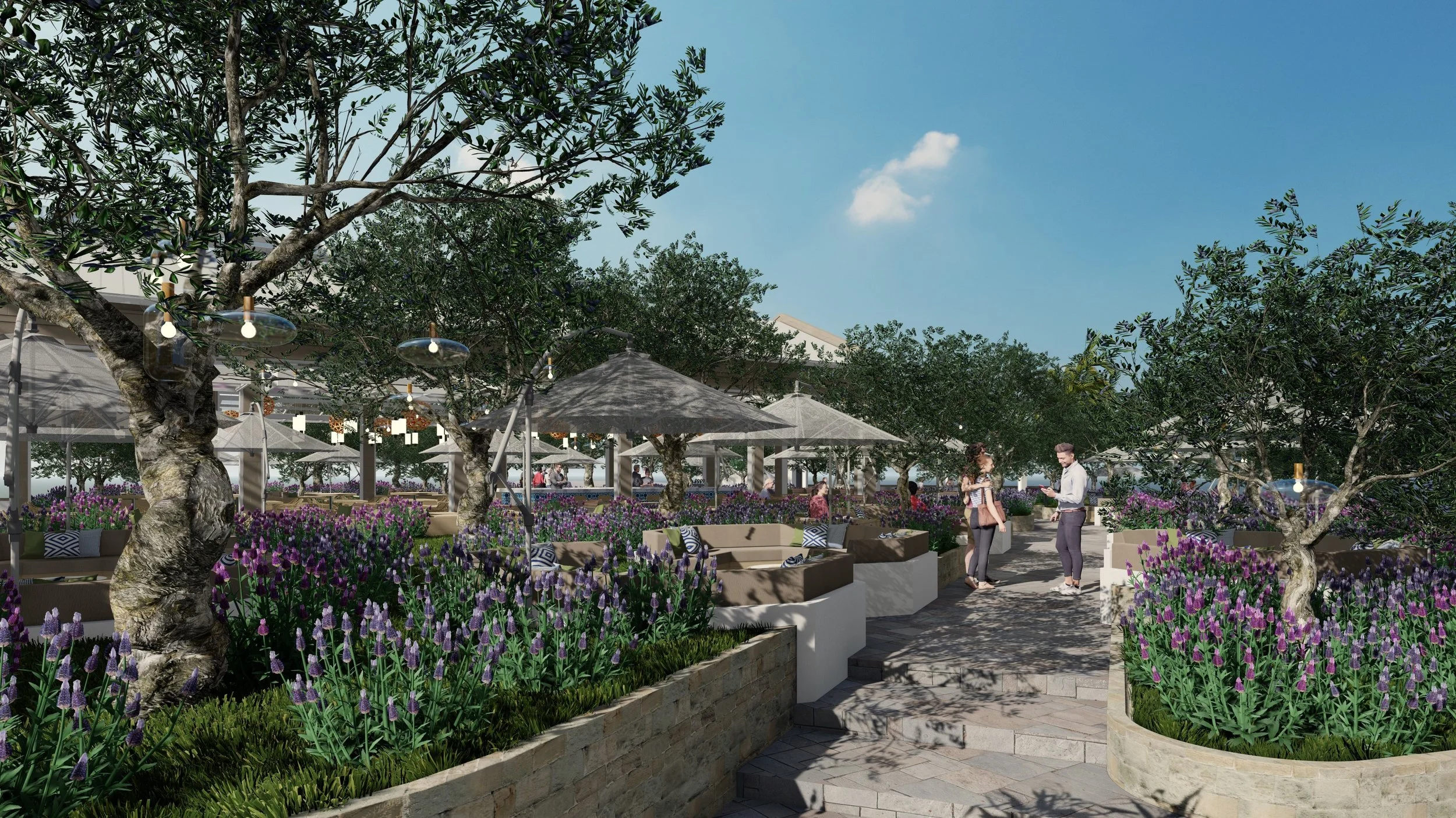 Olive Grove Walkway View