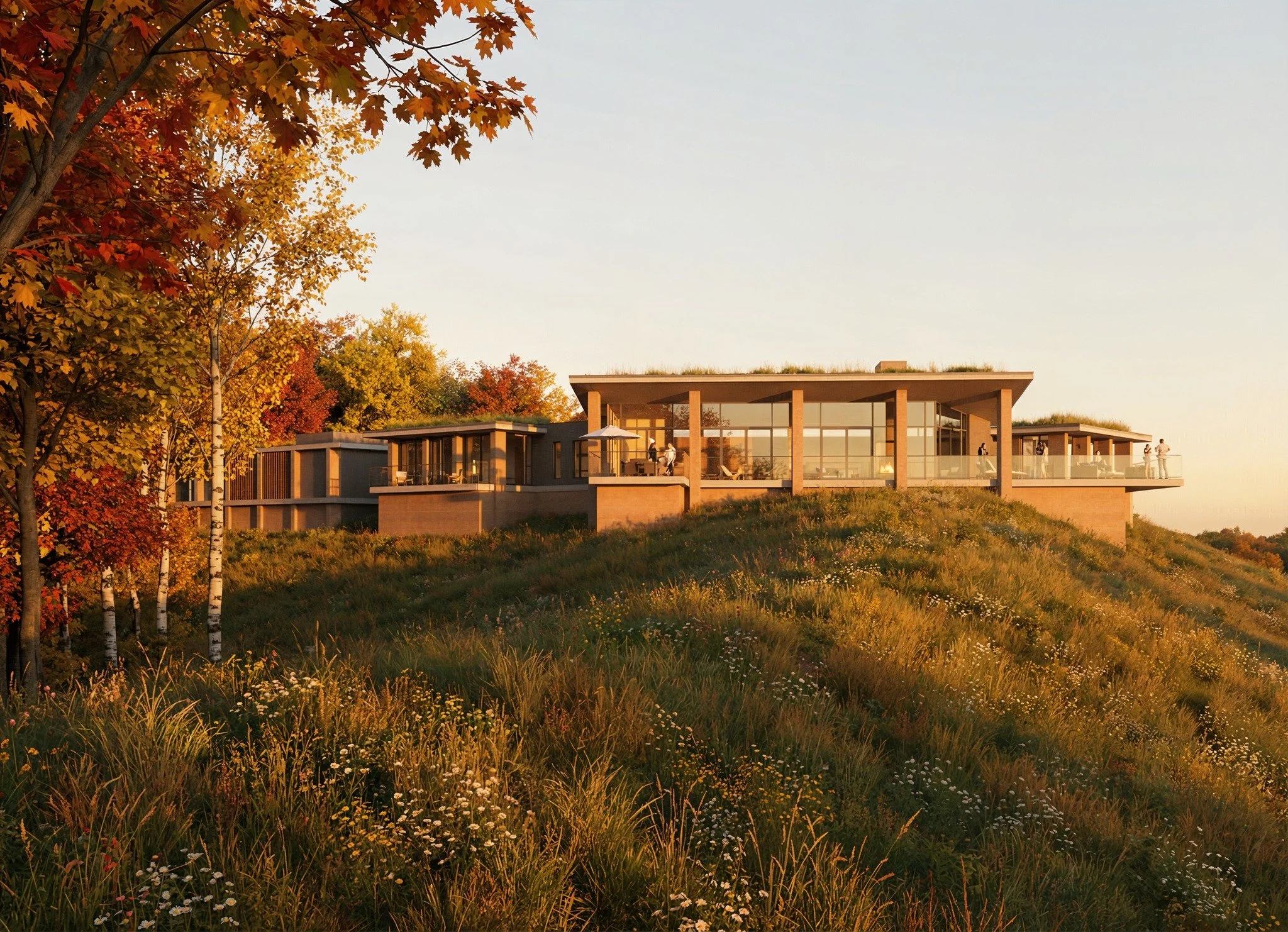 Wild Prairie Grass Meadow View
